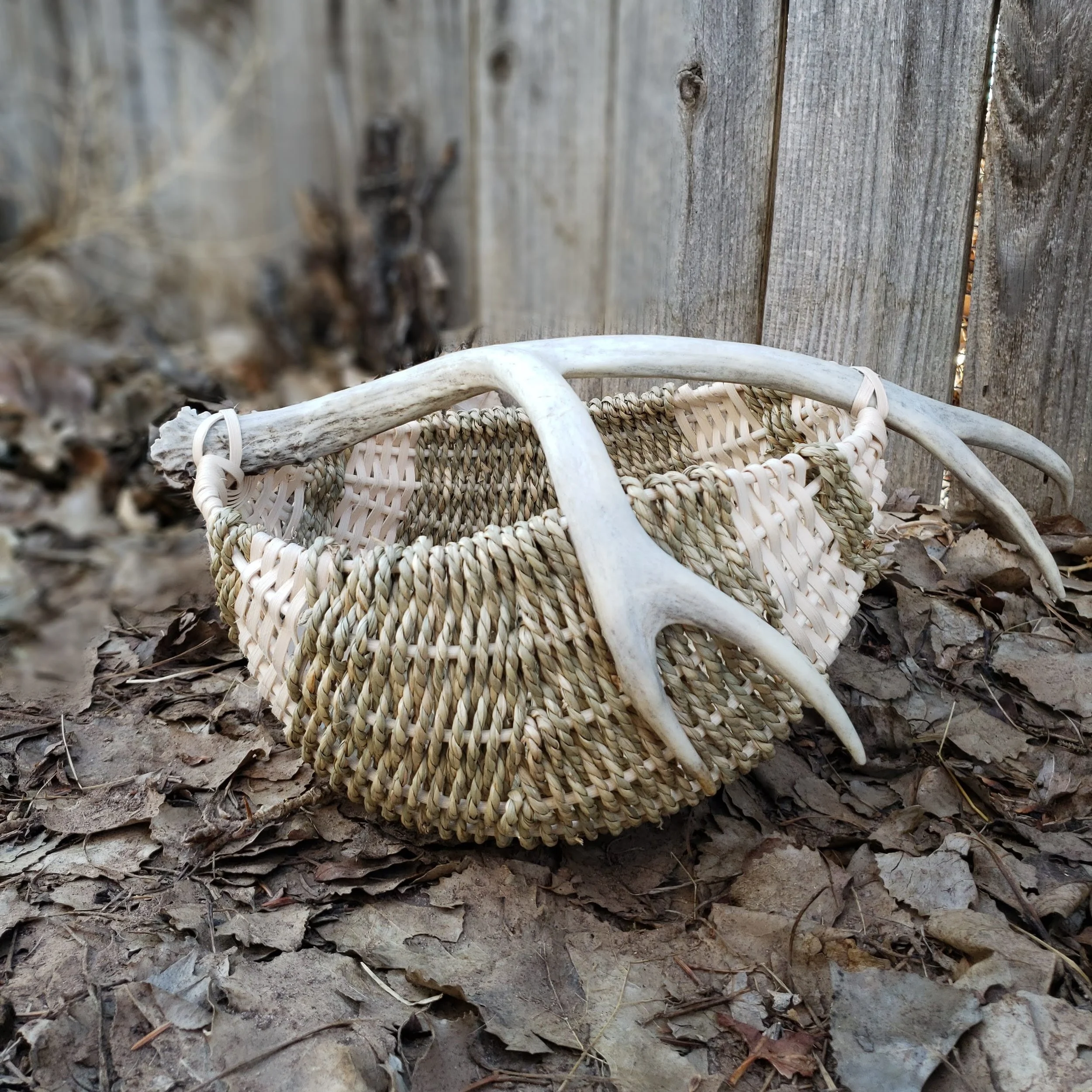 A woven basket with a white handle is placed on the ground among dried leaves and twigs, with a weathered wooden fence in the background.