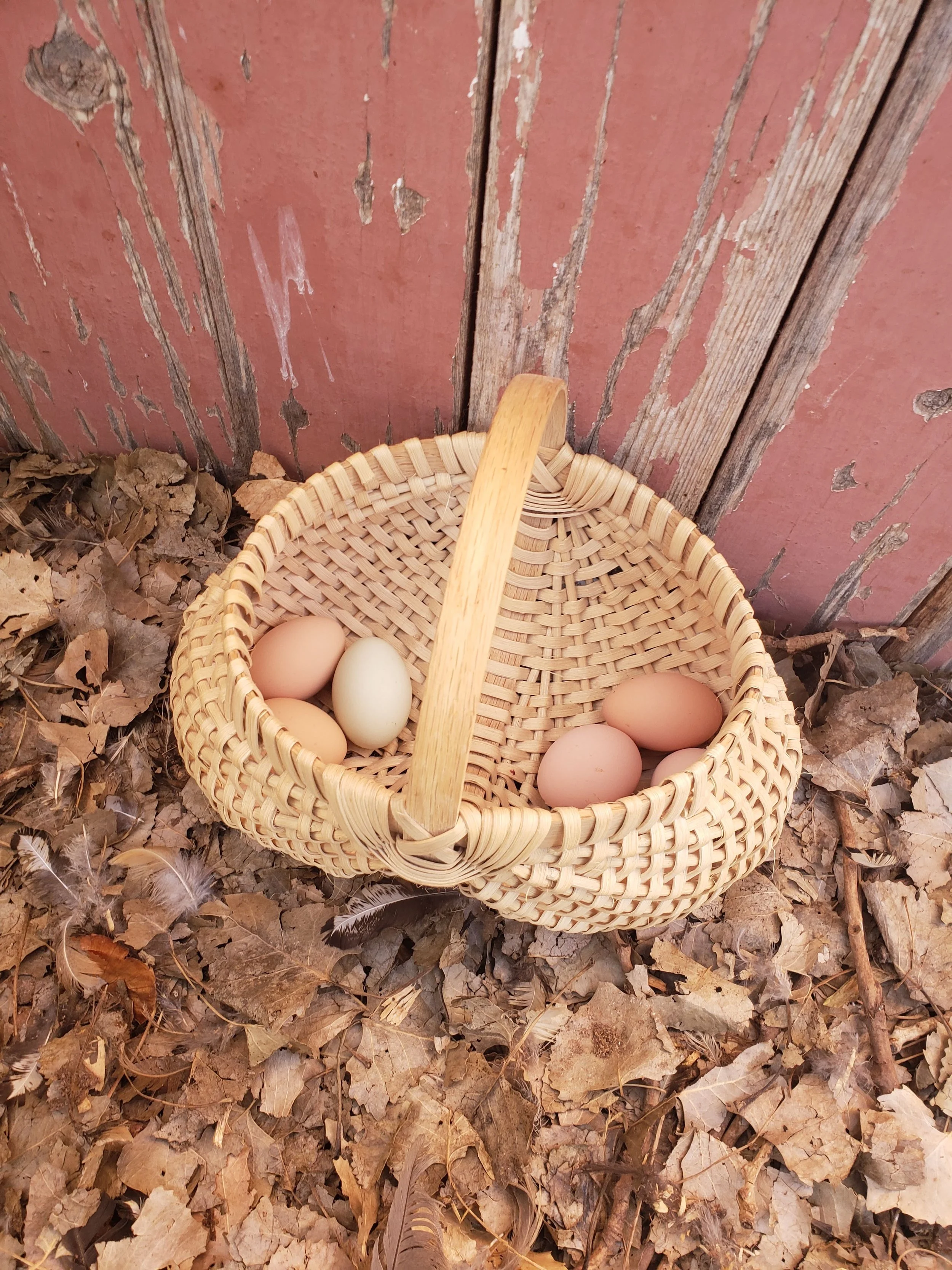 A woven basket with a wooden handle containing eggs, surrounded by dry leaves and twigs, placed on the ground against a weathered pink wooden wall.