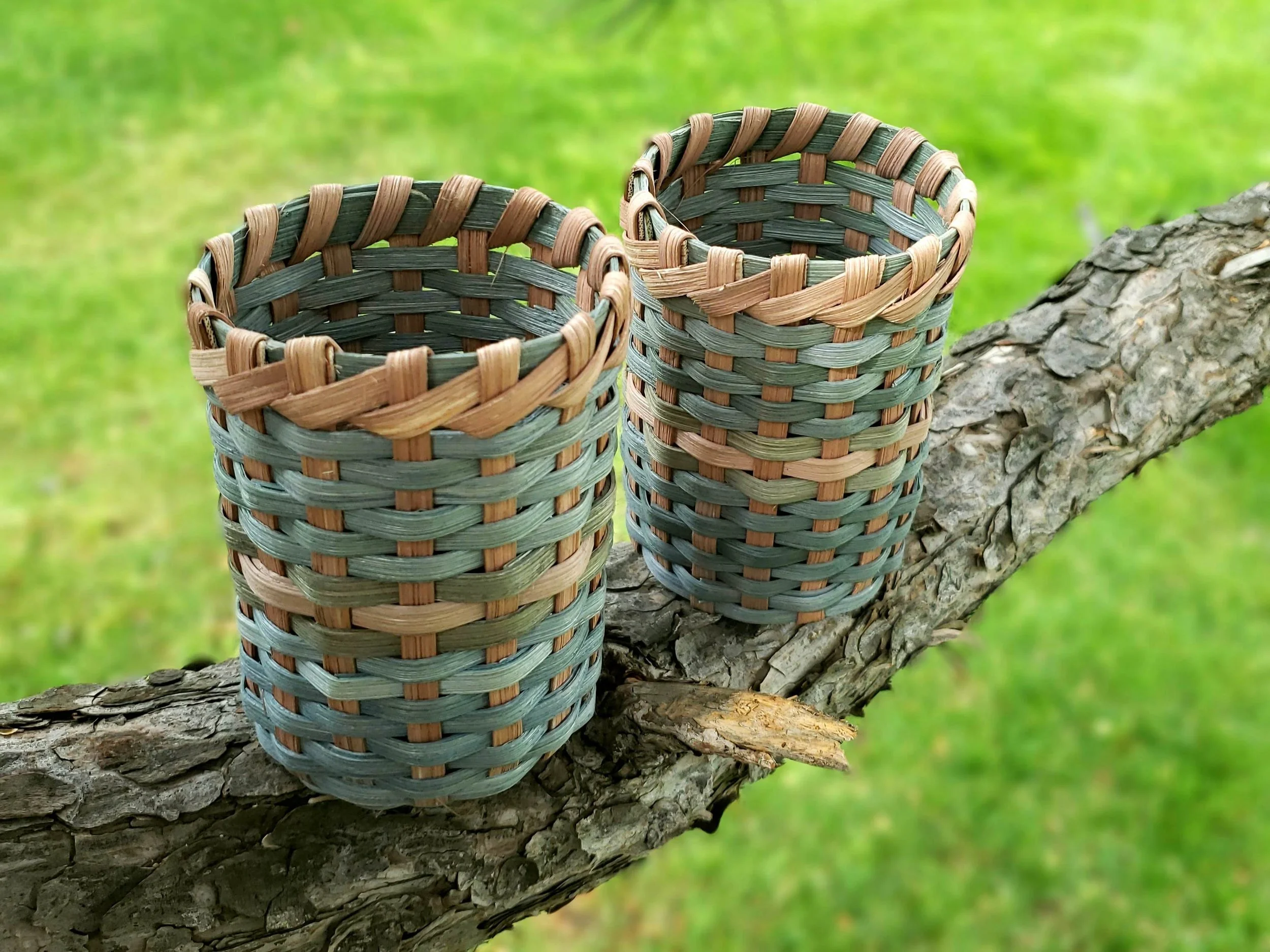Three woven baskets placed on a tree branch outdoors with a blurred green background.