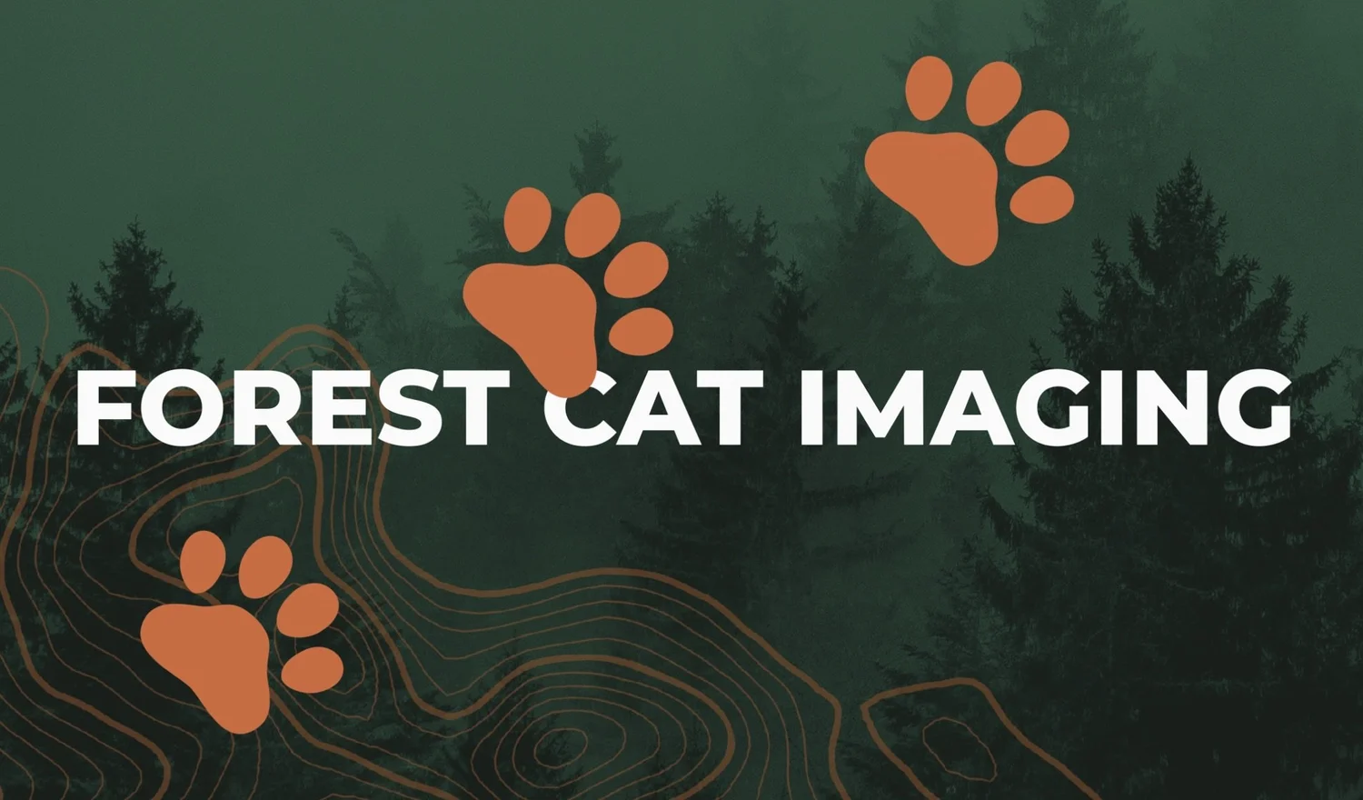 Forest Cat Imaging