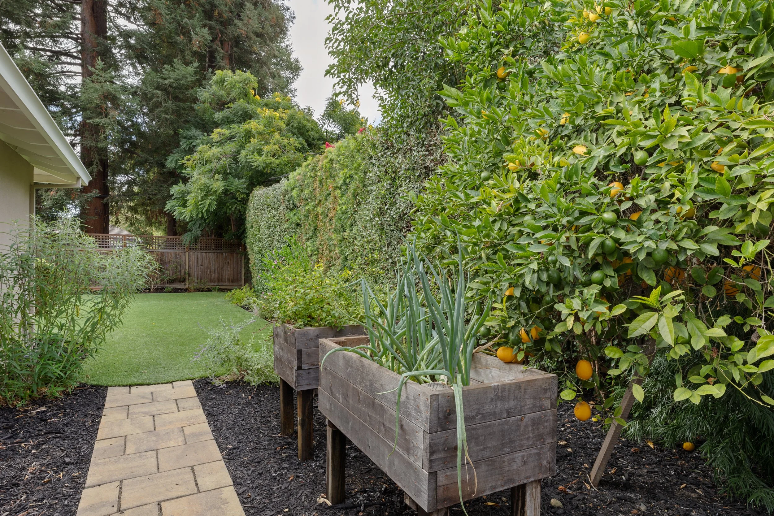 38-Oak_Matt_Anello-41-MLS.jpg