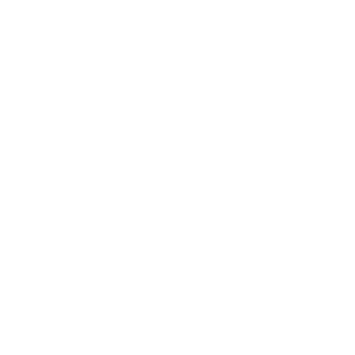 The Spotlight on Main