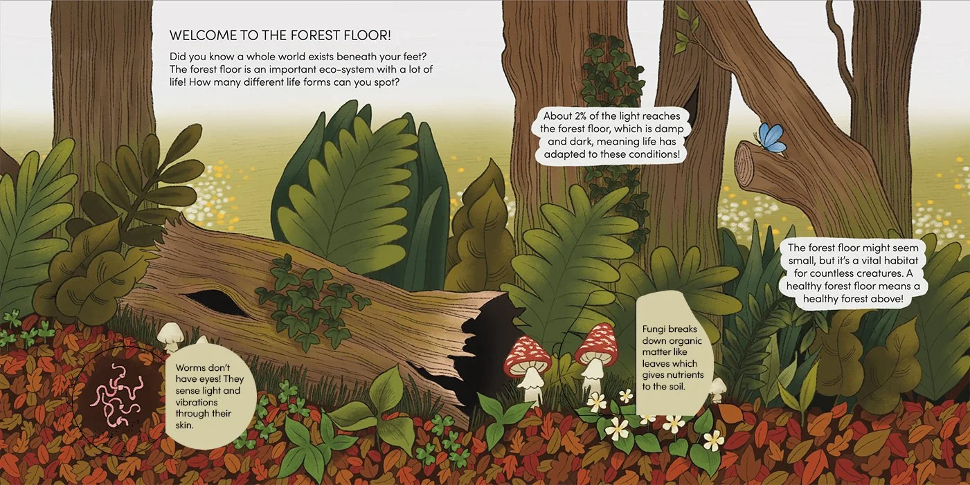 Illustration of a forest floor with trees, plants, mushrooms, and a butterfly. There are informational speech bubbles highlighting features like organic matter, fungi, and animal adaptations.
