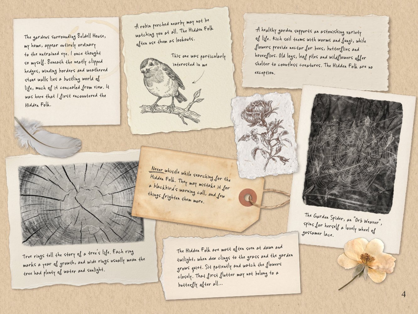 A collection of handwritten notes, sketches, photographs, and drawings related to Hidden Folk and nature, including a drawn bird on a branch, a spider web on a stone, a dried flower, and sketches of plants and a tree ring.