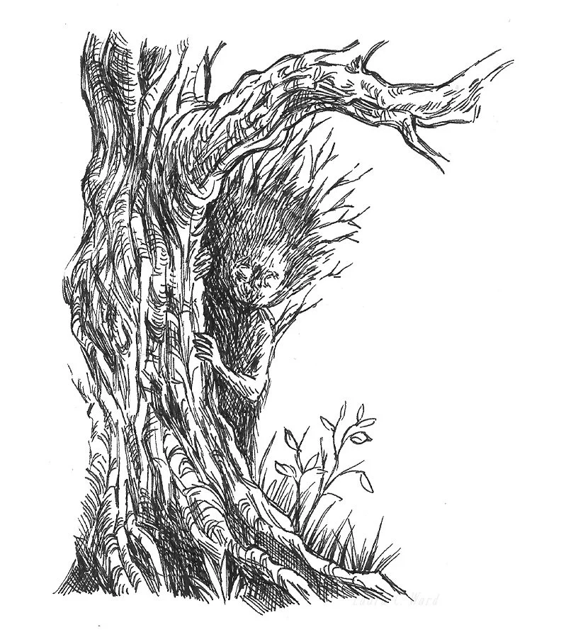 A black and white drawing of a tree with a fae peeking out from a hollow in the trunk.
