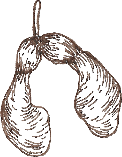 Drawing of a pair of brown knitted mittens hanging from a string.