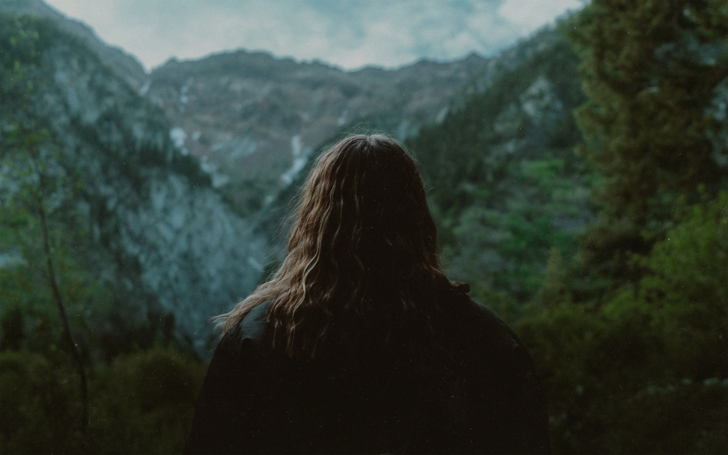A person with long hair facing a mountainous landscape with trees and a waterfall in a cloudy sky.
