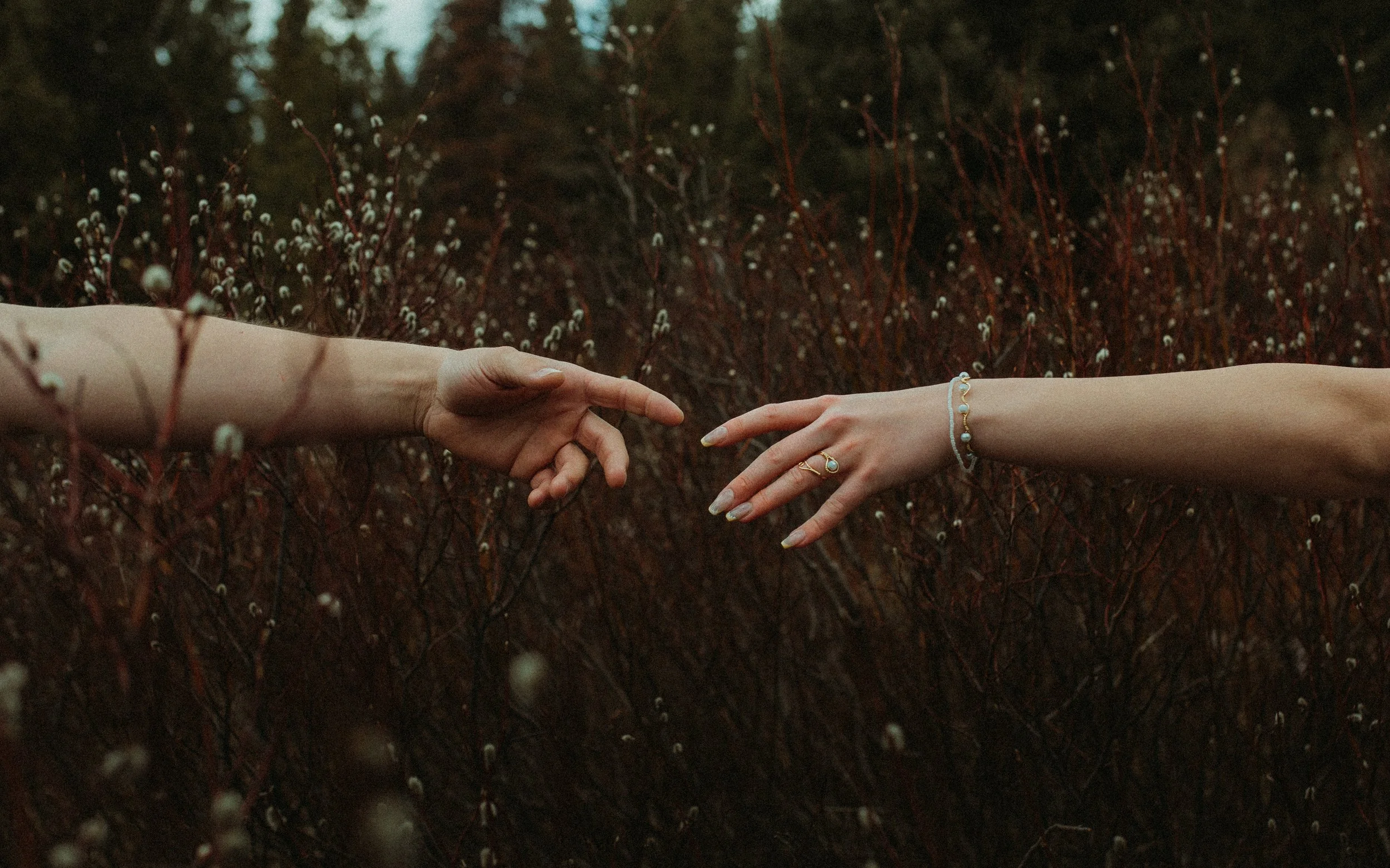 Two hands reaching towards each other over dark, leafless bushes, with one person's hand extending with the index finger pointing, and the other hand open with fingers slightly curved. Both wear jewelry, clarity of the scene is low, and the backgroun