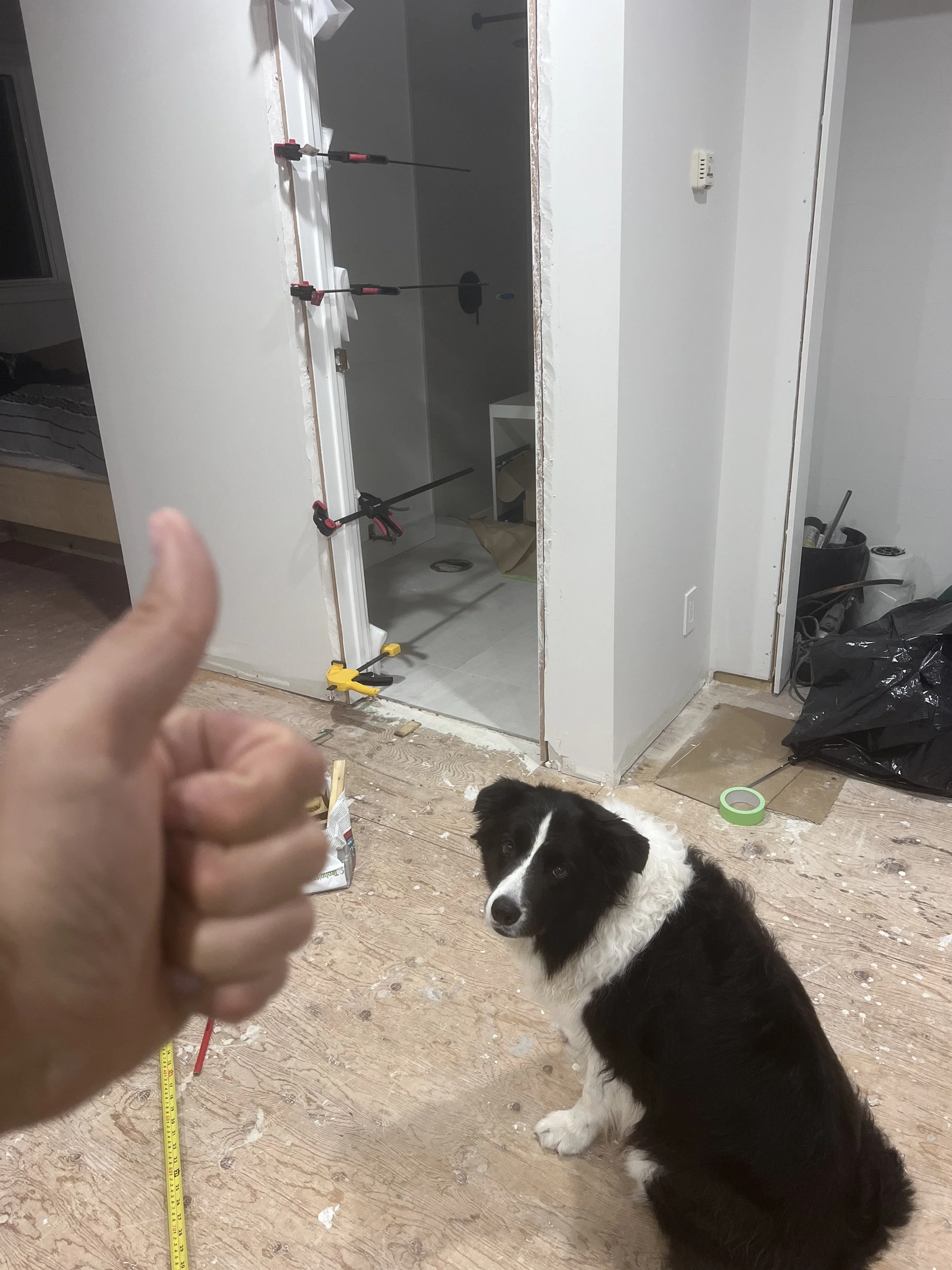 Misha the dog sitting on site during the Tobermory renovation, getting a thumbs up amid mid-renovation drywall and flooring work