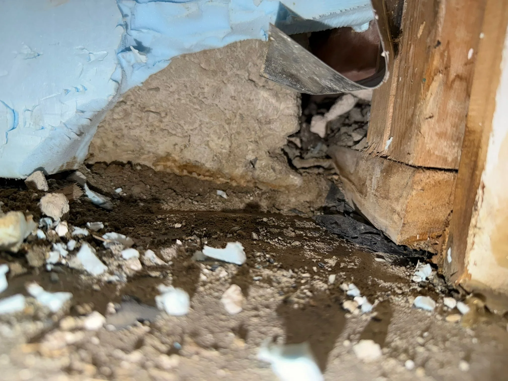 Close-up of a foundation gap near exposed wood framing and foam insulation, showing a point of entry during an inspection