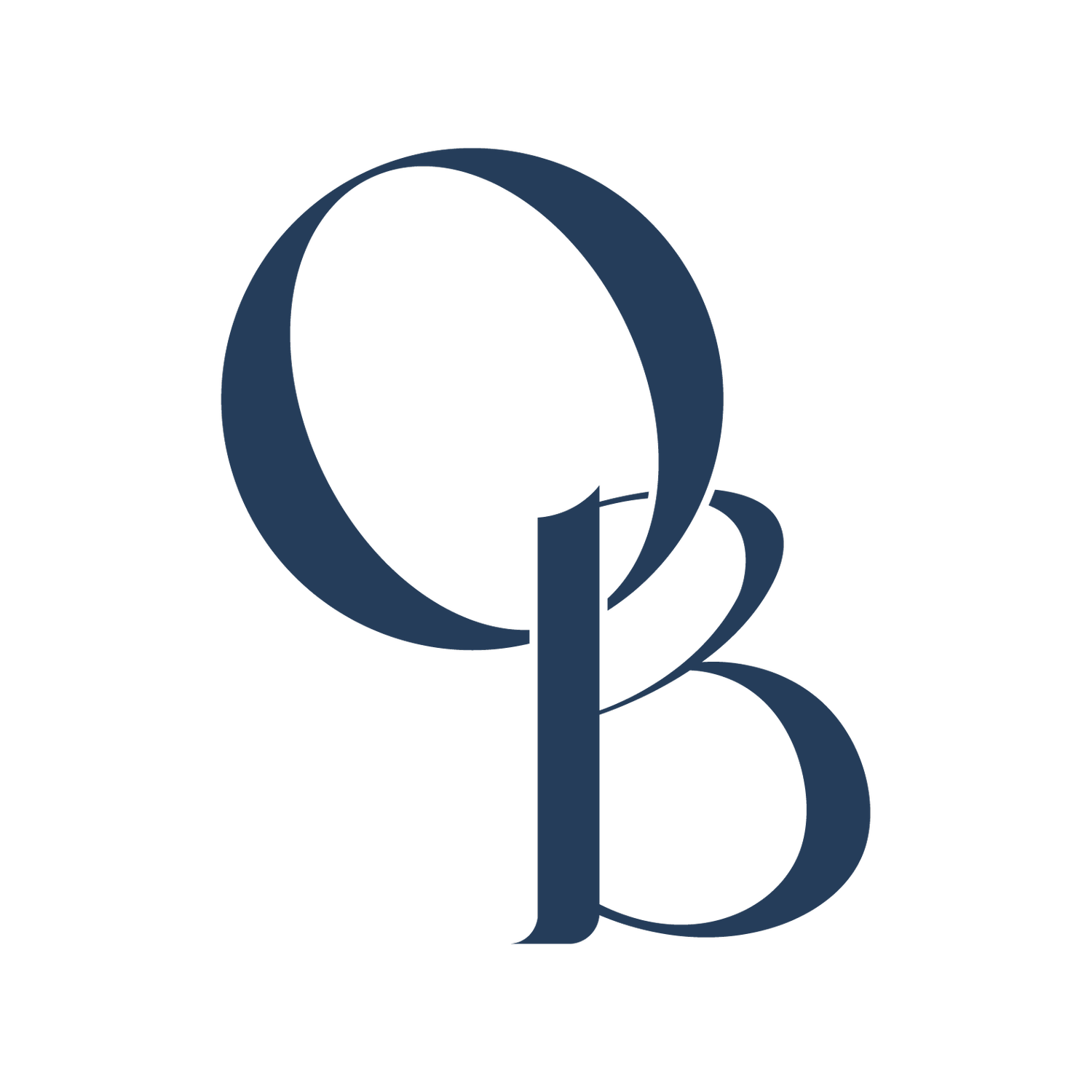 Olivier Bourgoin Courtier Immobilier