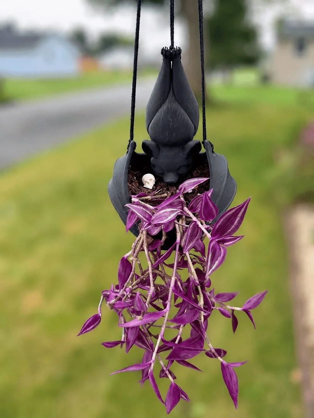 The Original Hanging Bat Planter hanging on a front porch with a trailing purple wandering dude plant