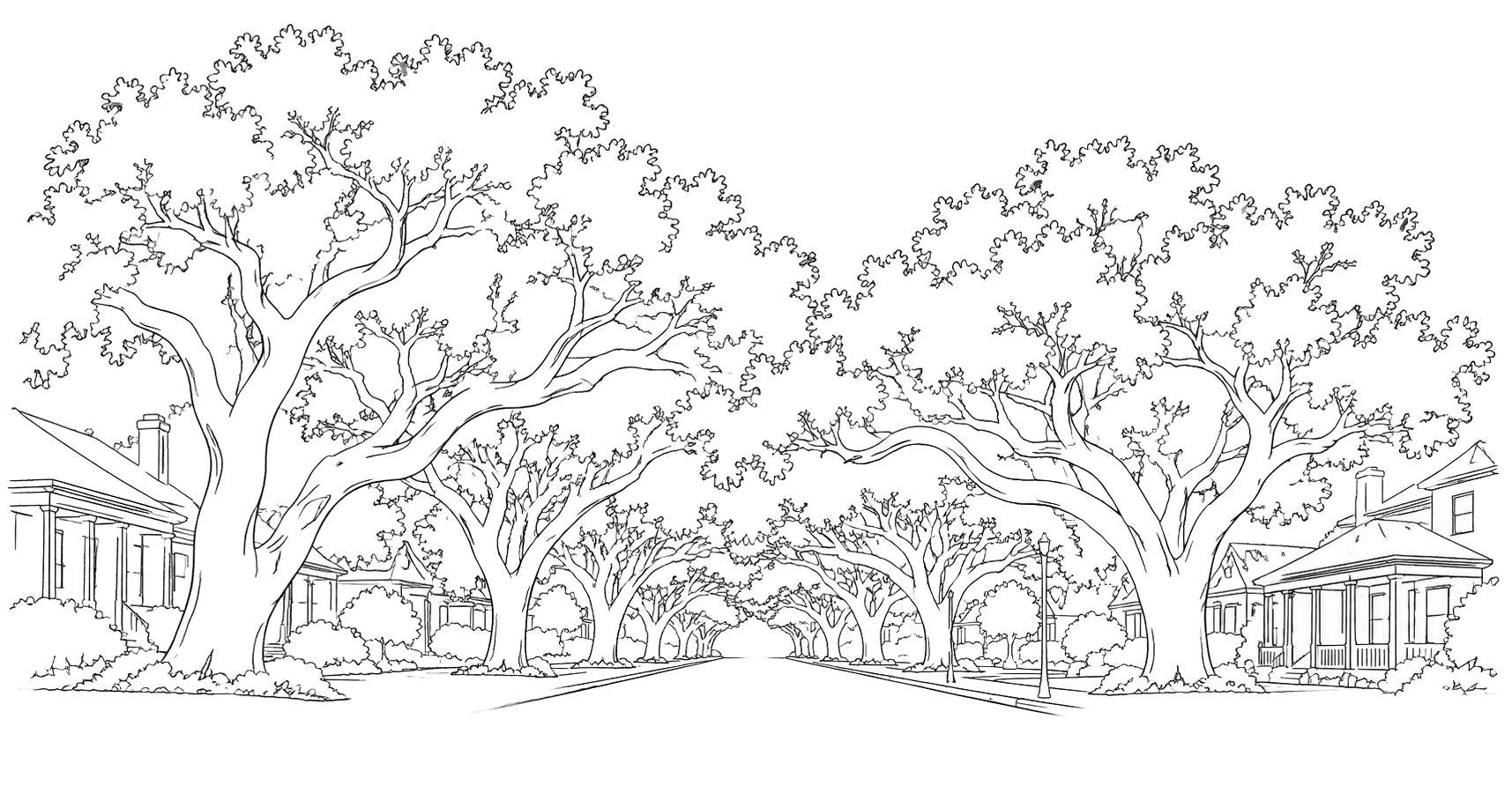 Black and white illustration of a suburban street lined with tall trees and houses on both sides.
