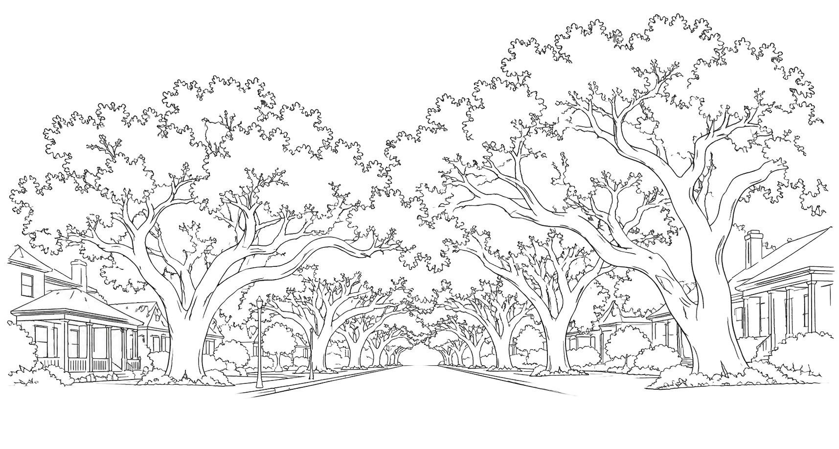 Line drawing of a street lined with large, leafy trees and houses on both sides, under a dark sky.