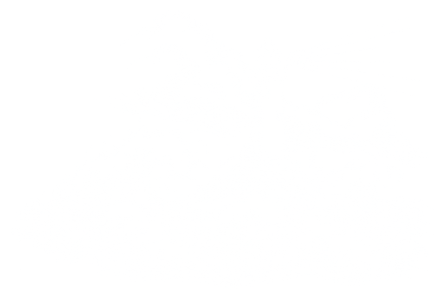 blank white background