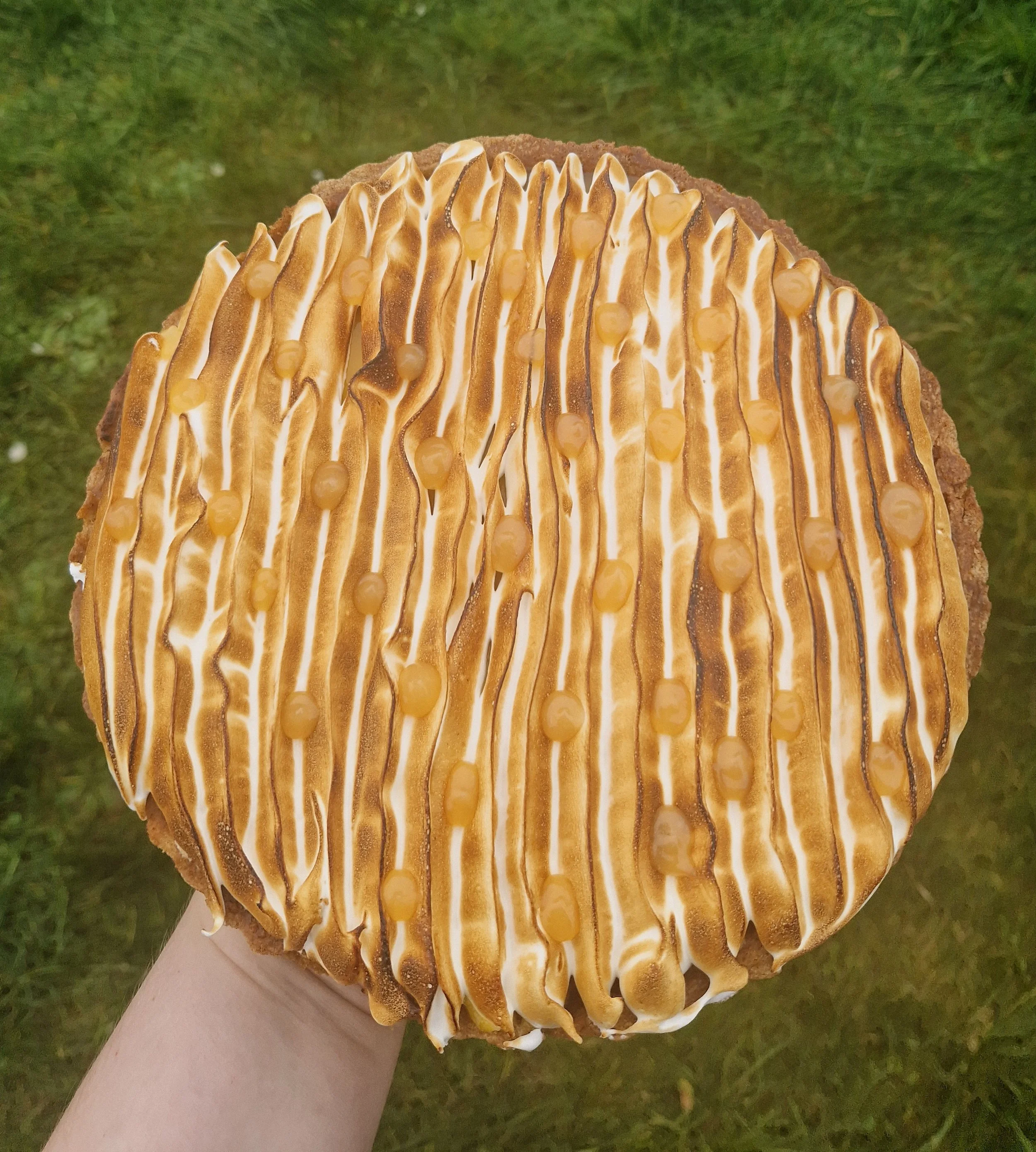 A slice of pie with meringue topping and caramel drizzle on a plate, held by a person outdoors with grass in the background.