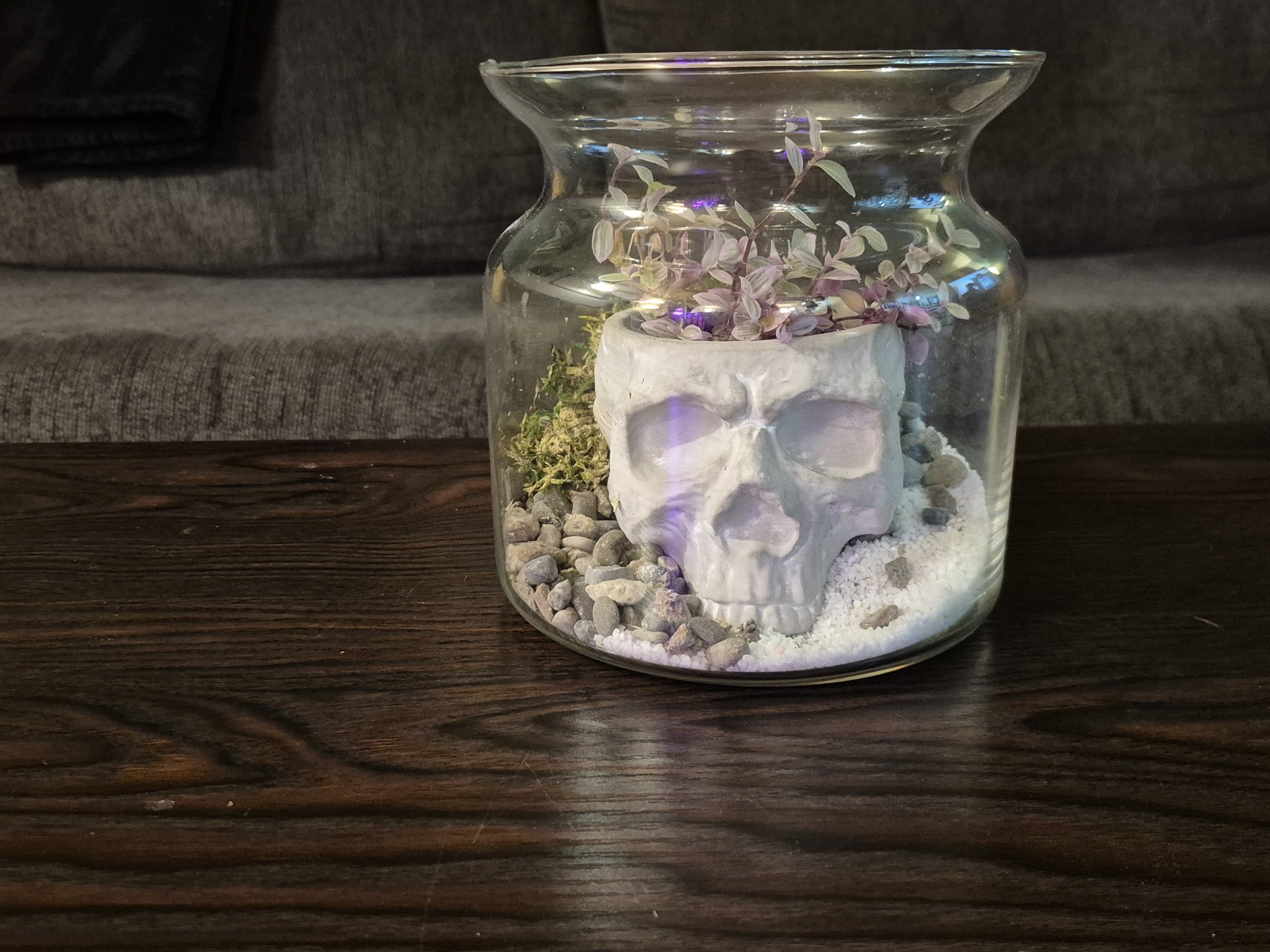 Gothic Skull Terrarium and Planter