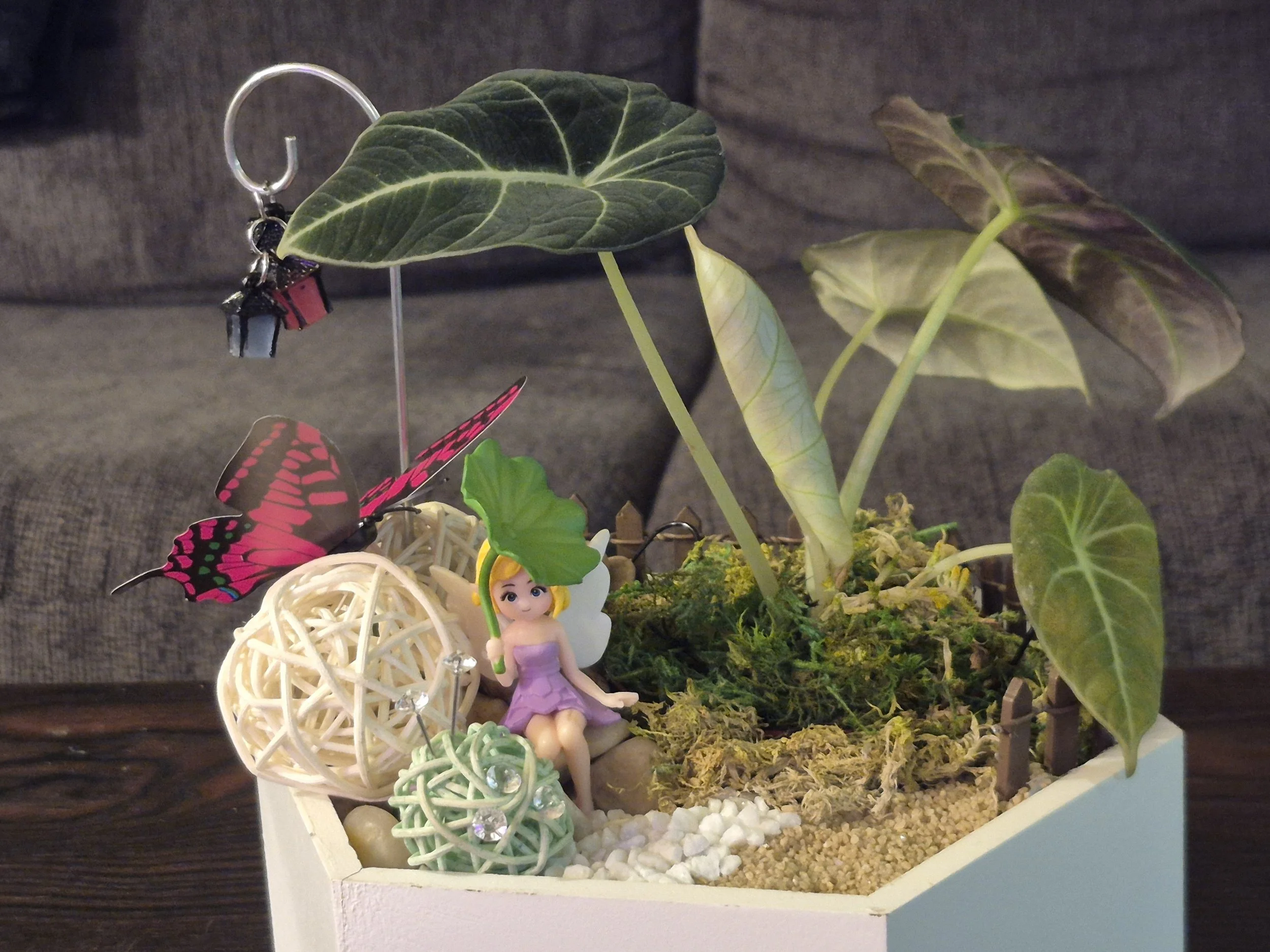Alocasia Whimsical Fairy Garden Planter