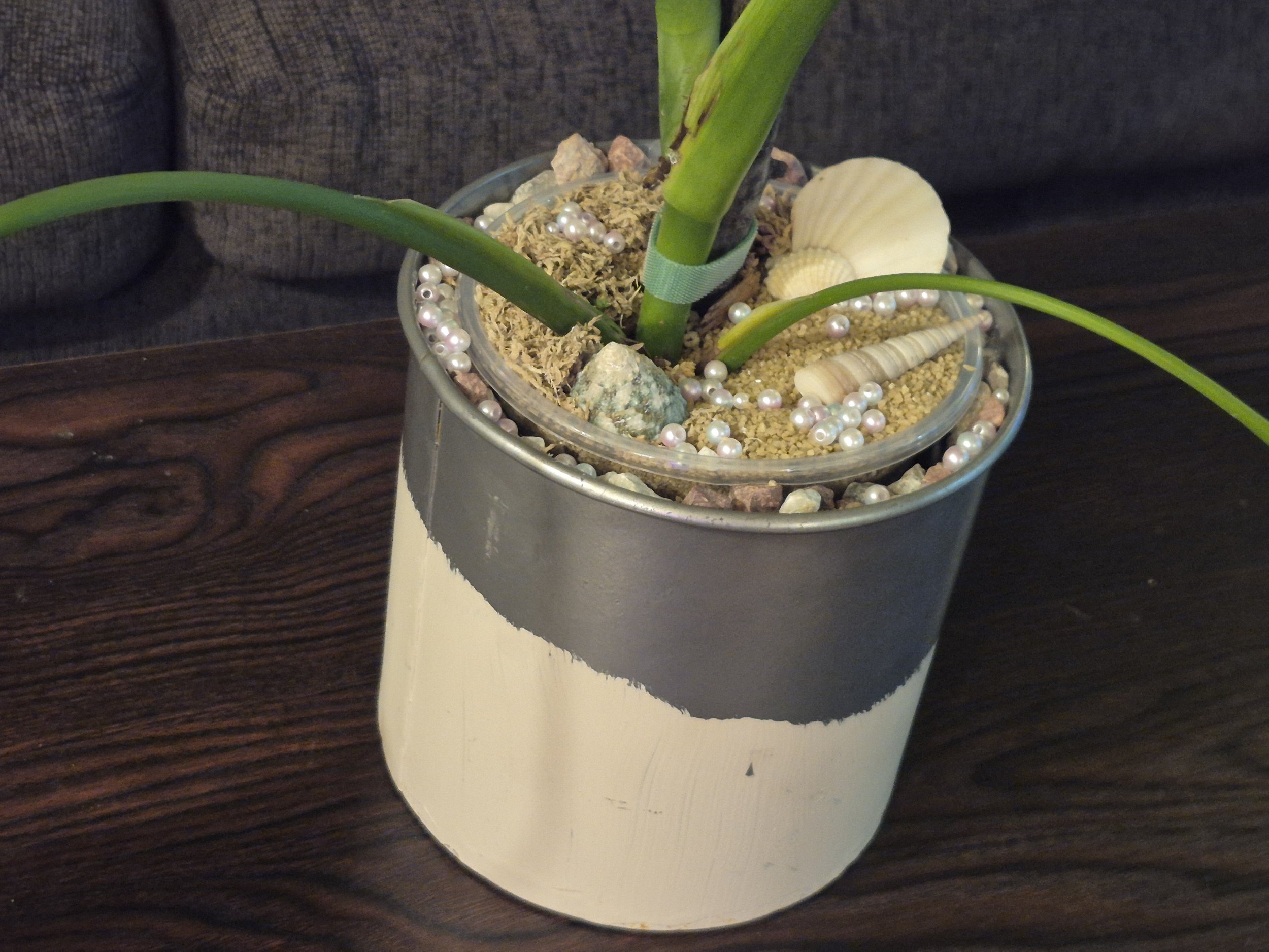 Coastal Pearl Monstera Deliciosa Planter
