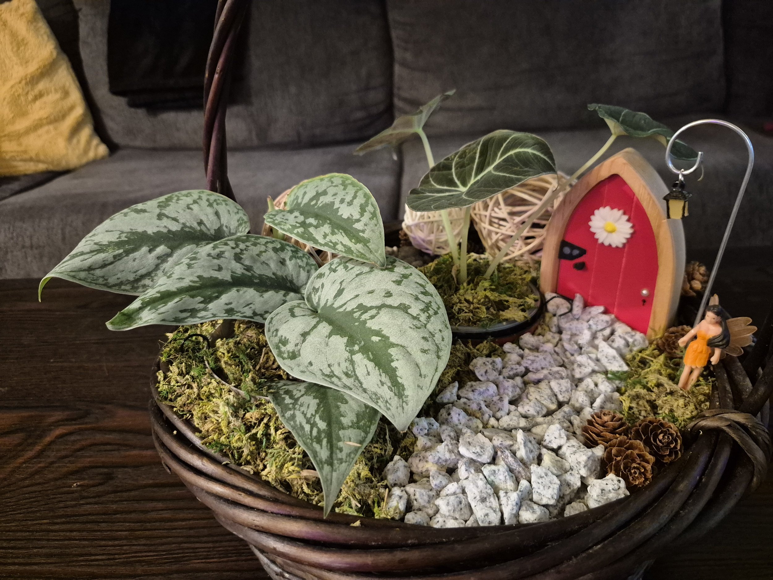 Enchanted Woodland Fairy Garden Hanging Basket