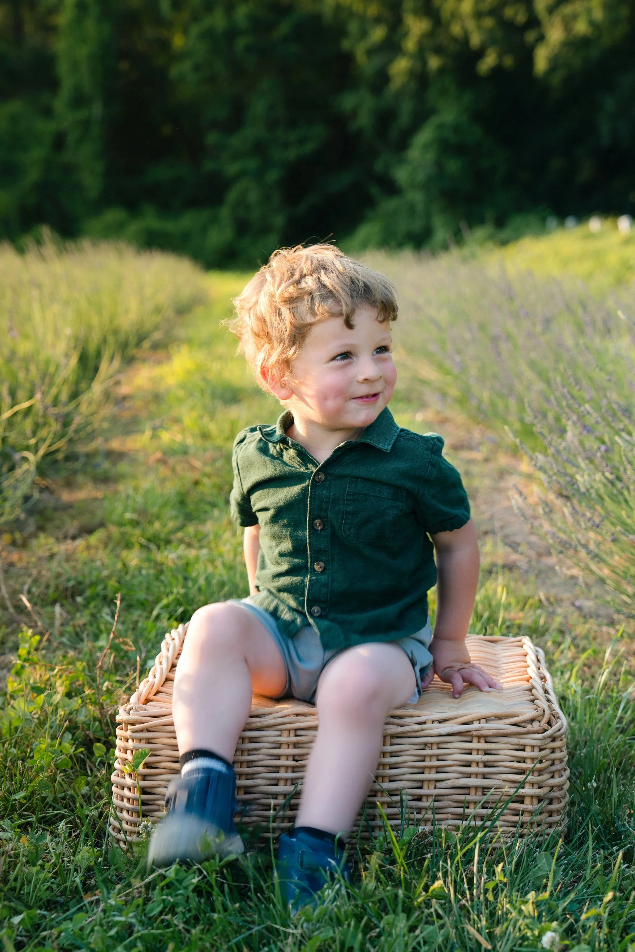 A young boy with curly blonde hair sitting on a wicker basket in a lavender field during late afternoon or early evening.