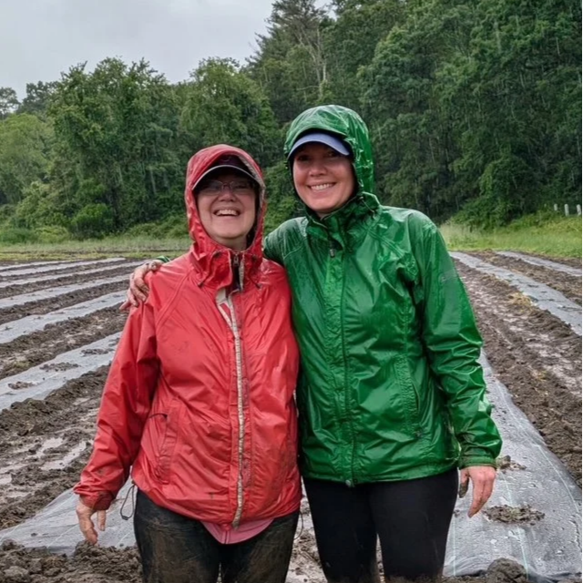 Planting our first crop of lavender in the pouring rain.