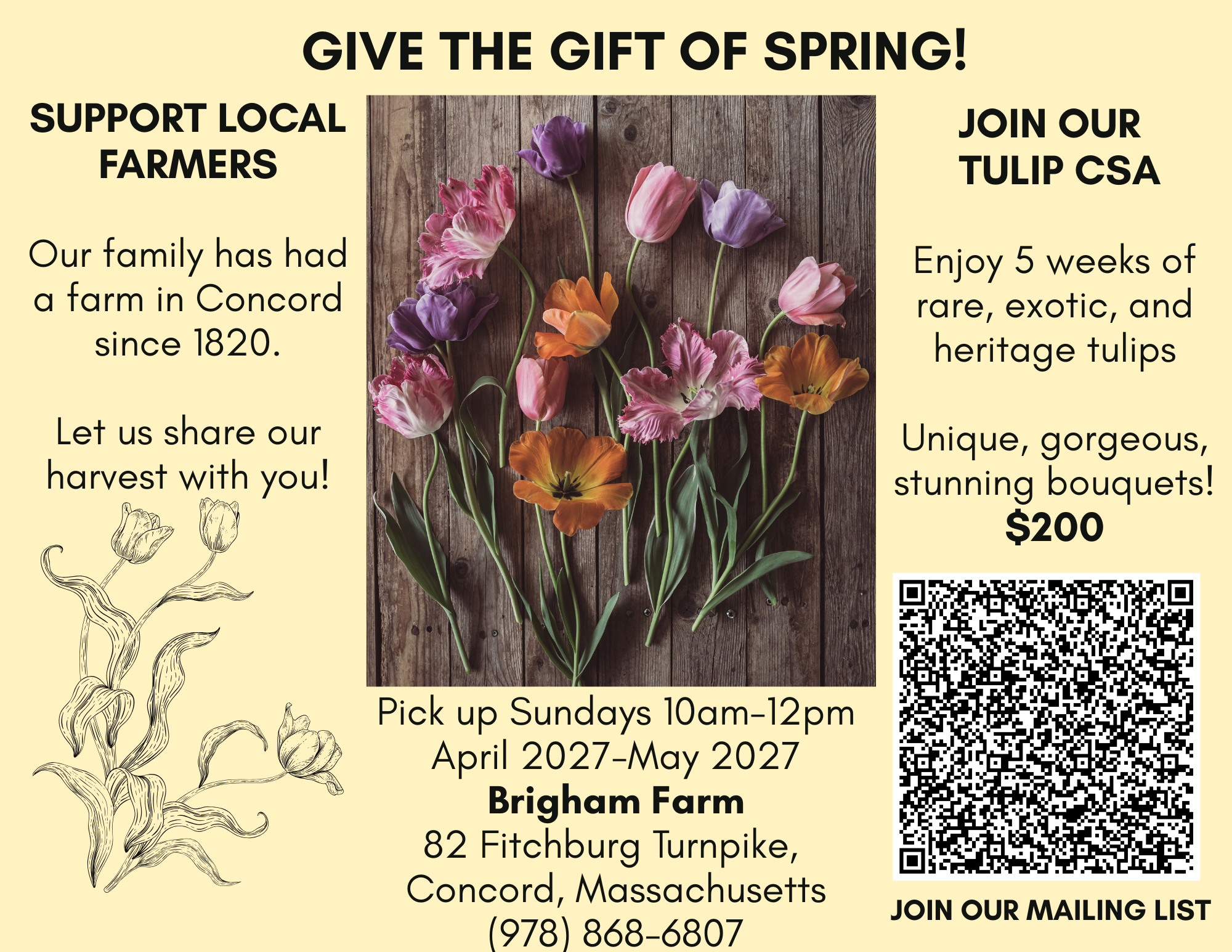 A flyer promoting support for local farmers and a tulip CSA, featuring a photo of colorful tulips against a wooden background, with supporting text about farm history, flower availability, pickup times, and contact details.