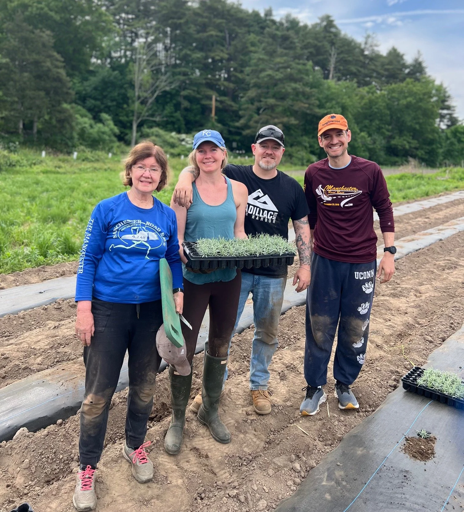 Teamwork makes the dream work - planting together our second year