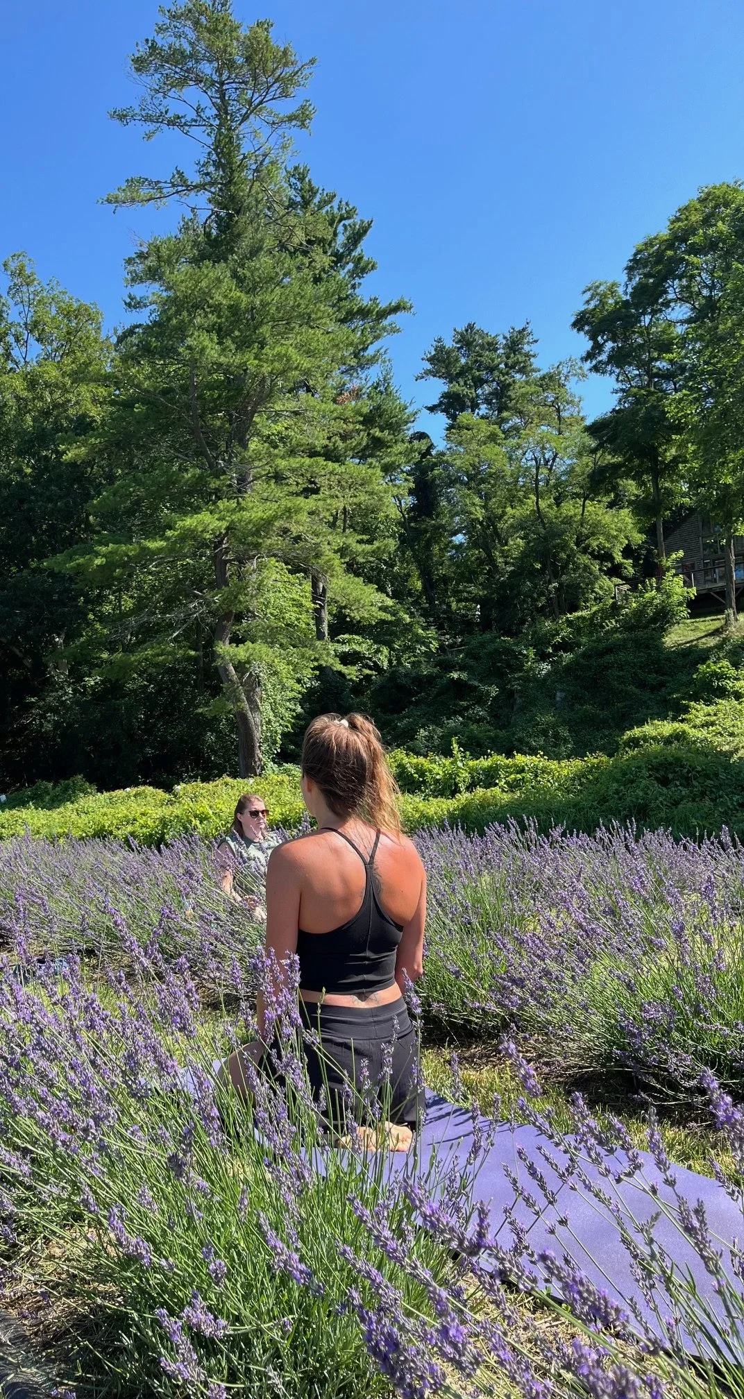 Two women sitting in a lavender field on a sunny day, surrounded by trees and greenery, with one woman facing away and the other wearing sunglasses.
