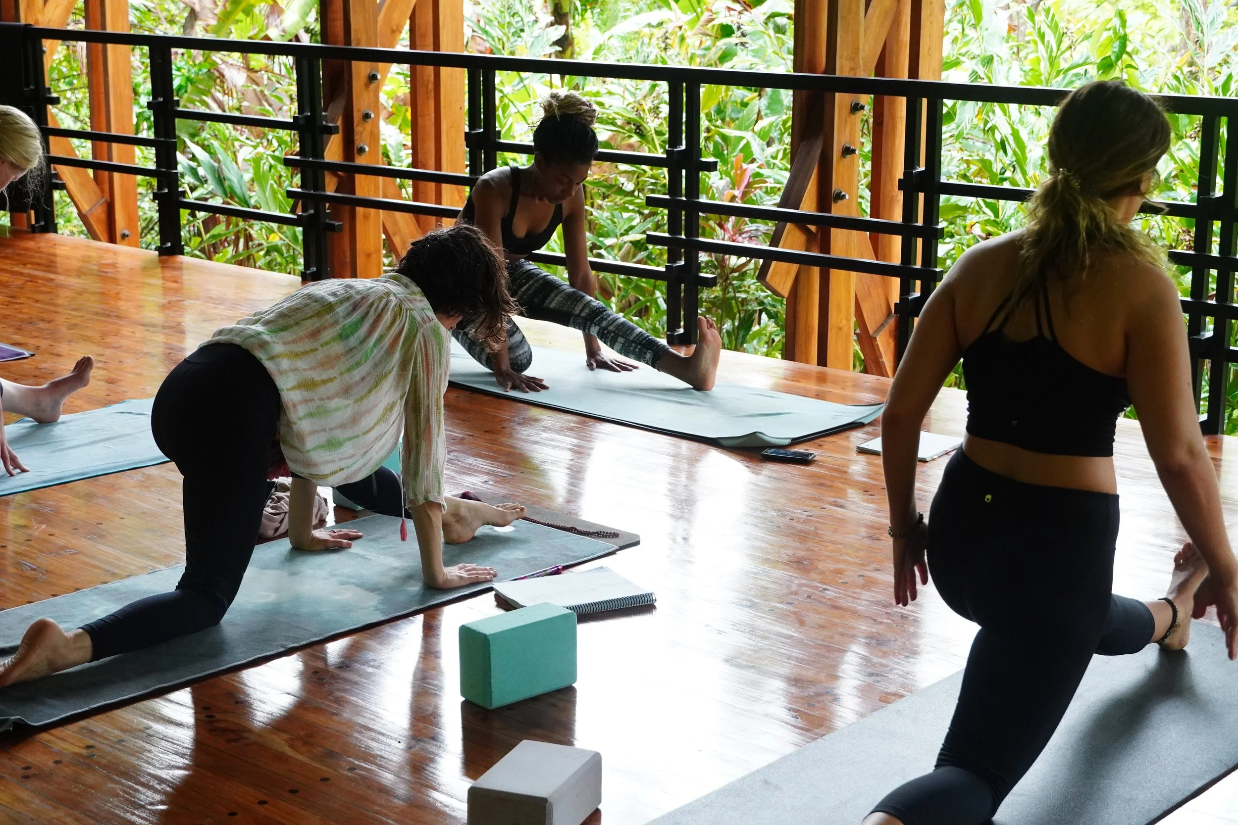 People practicing yoga on mats in a room with wooden floor and large windows showing lush green plants outside.