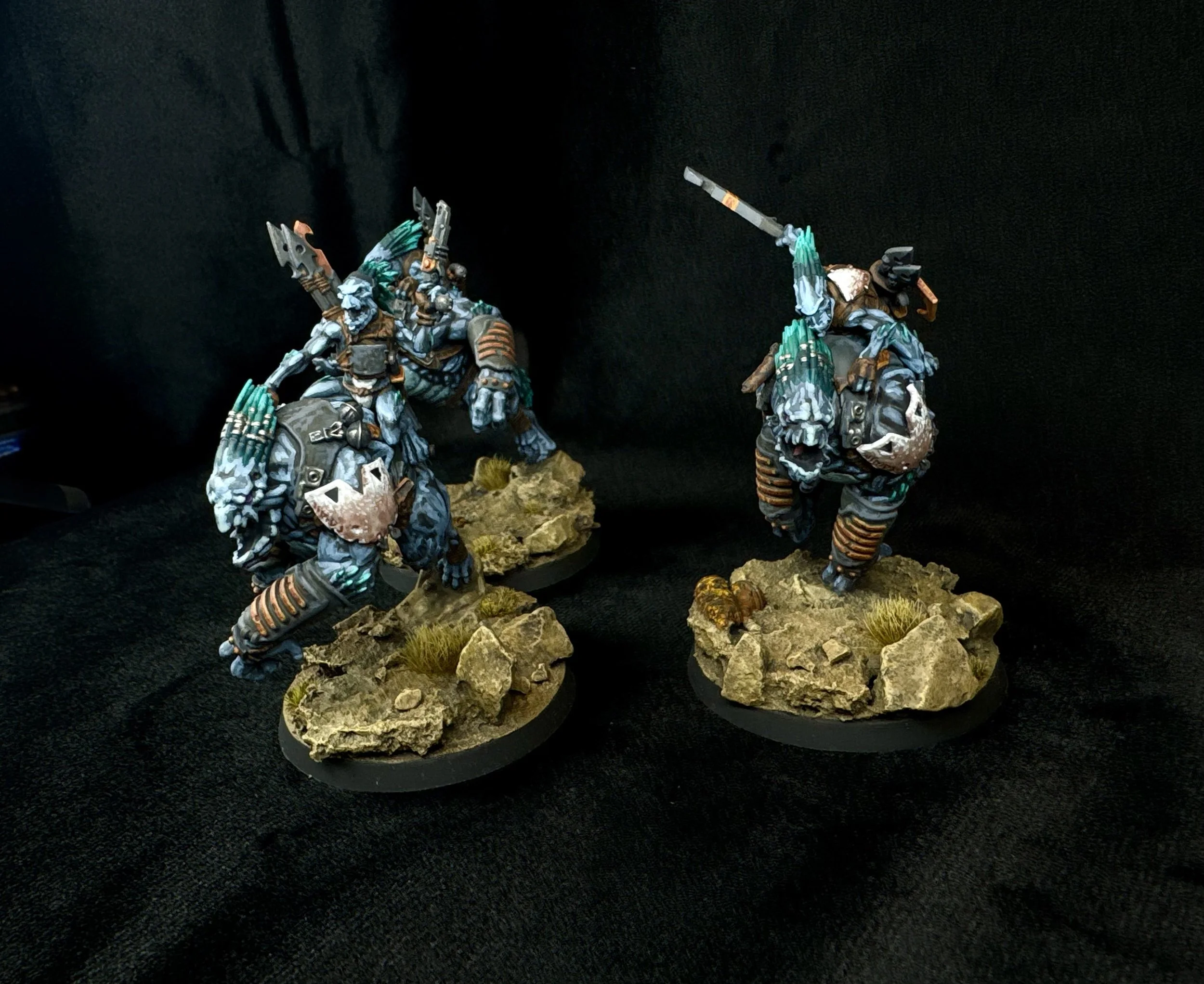 2025 Tau Army (30).jpg