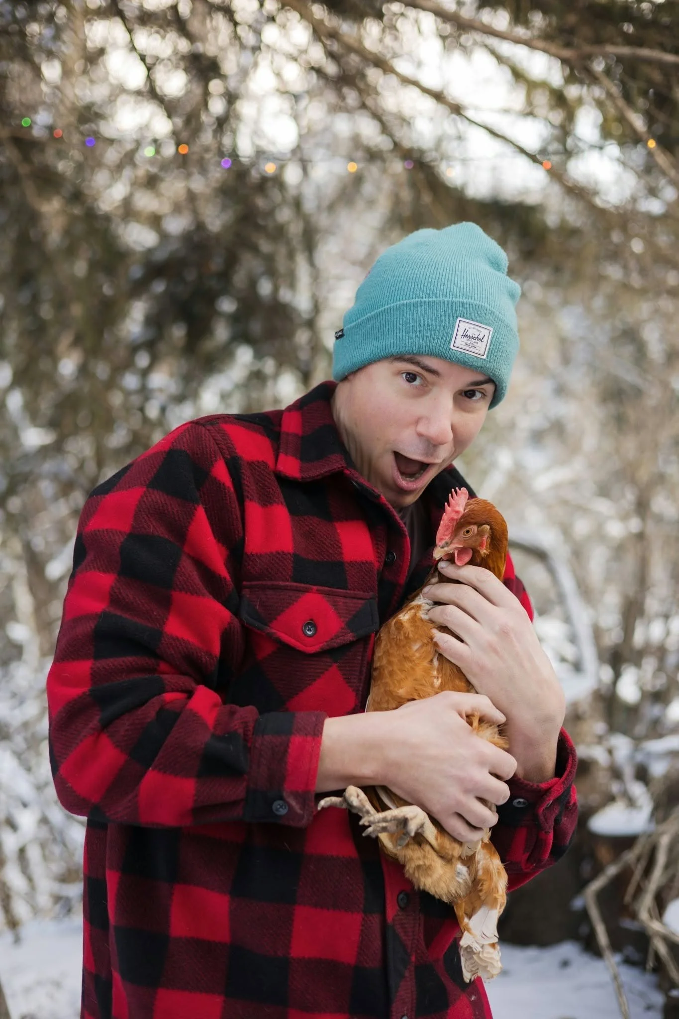 A man wearing a teal beanie and a red and black plaid jacket holding a chicken, standing outdoors in a snowy environment with trees in the background.