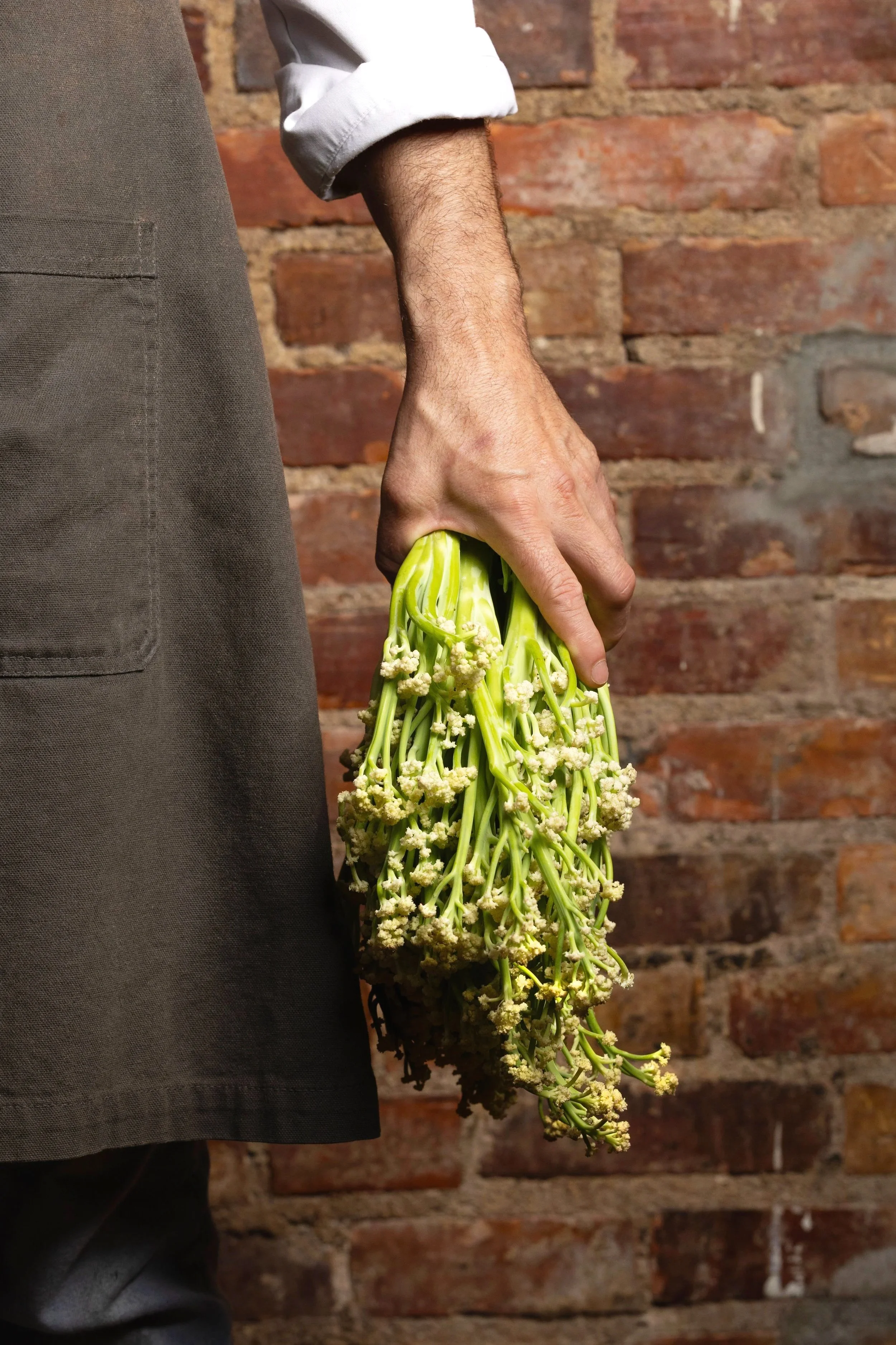 Hospitality — Sprouted cauliflower photographed as a refined editorial ingredient portrait for an Asheville food story.