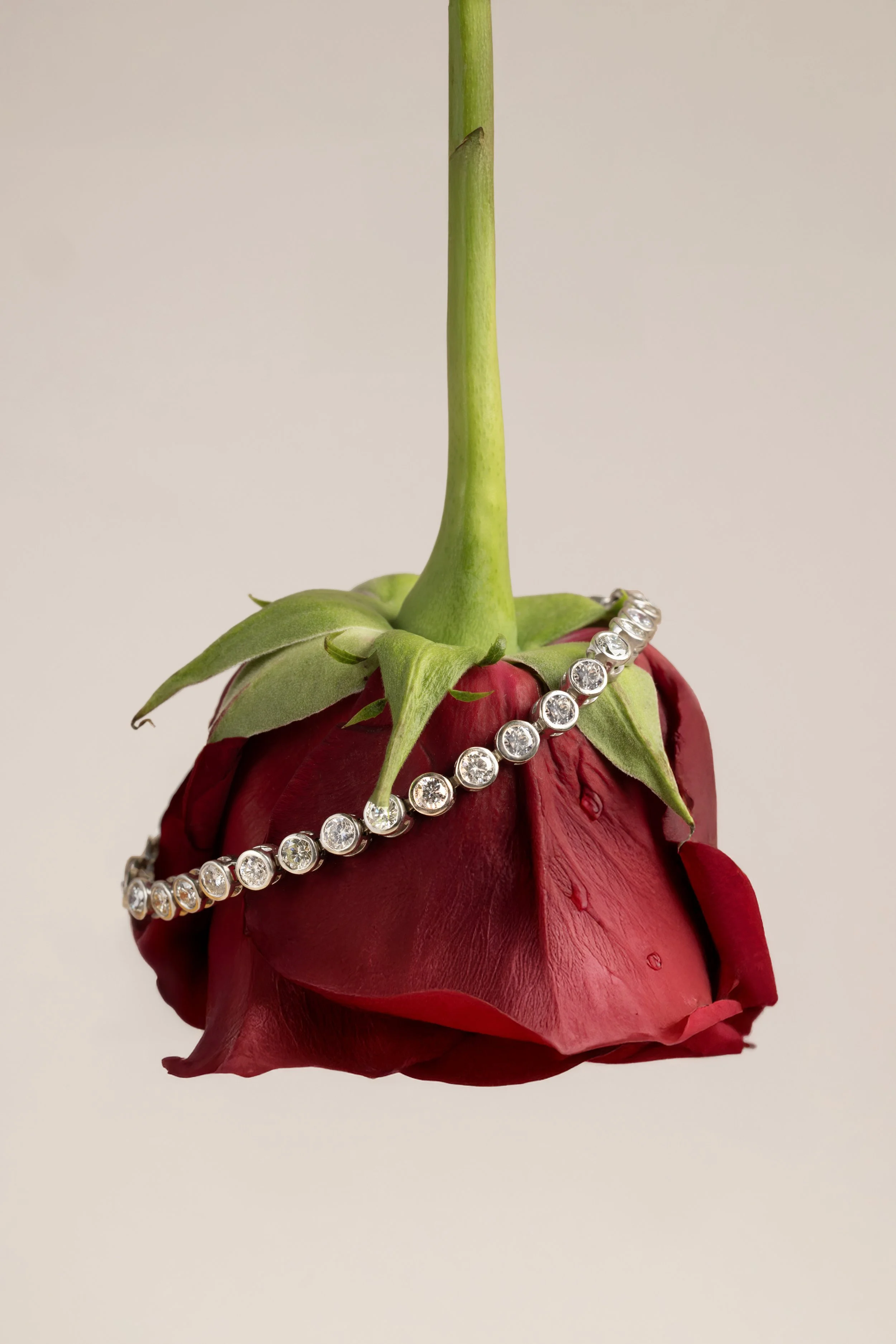 Editorial & Brand — Diamond bracelet draped across a deep red rose in a sculptural luxury jewelry still life.