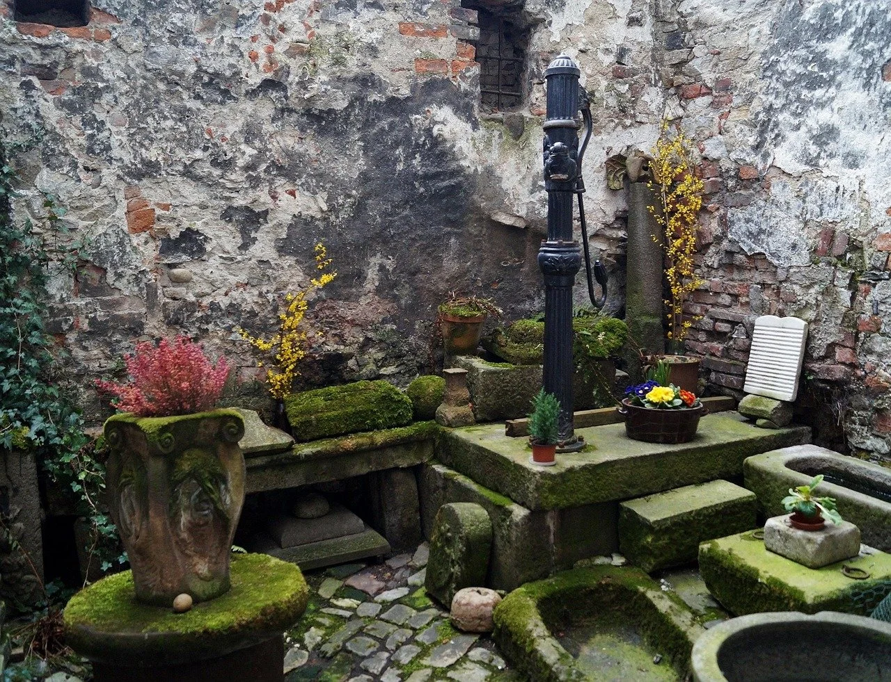 yard-before-01.jpg