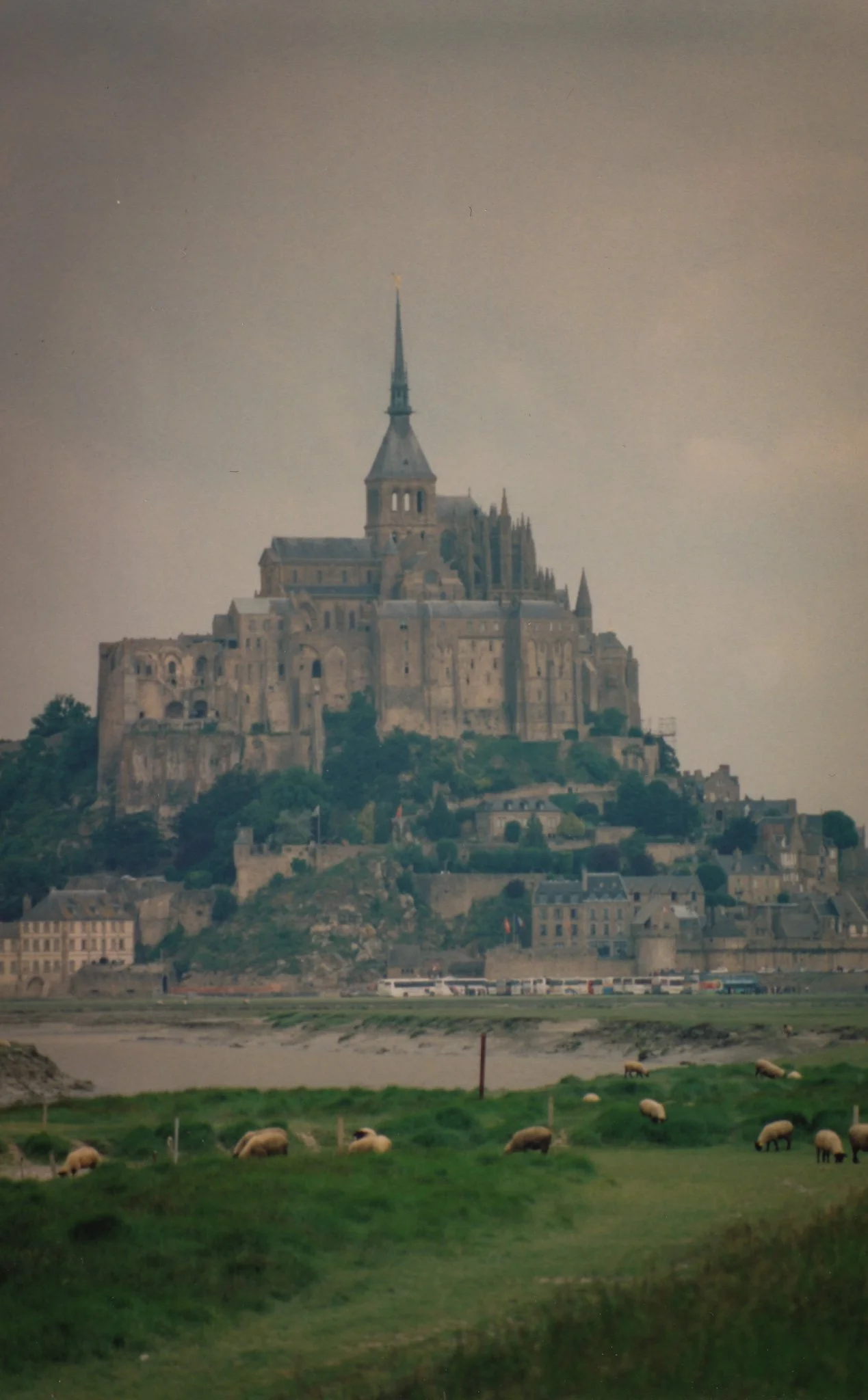 A view of Mont Saint-Michel, a historic island commune in France, with abbey buildings and a tall spire, surrounded by green fields and a river in the foreground, with grazing sheep.