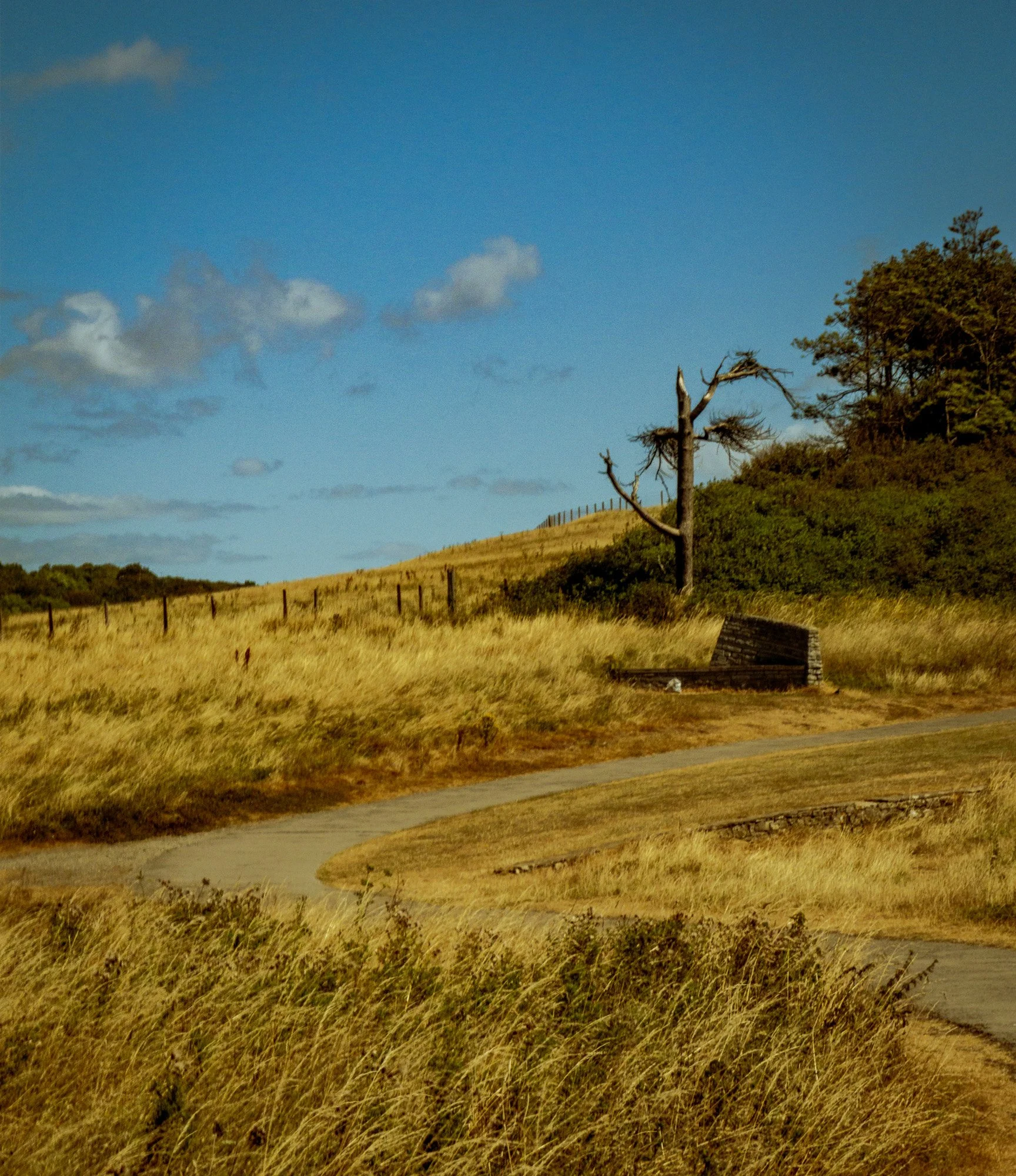 A grassy hillside with a single leafless tree, a small stone building, and a fence, under a blue sky with scattered clouds.