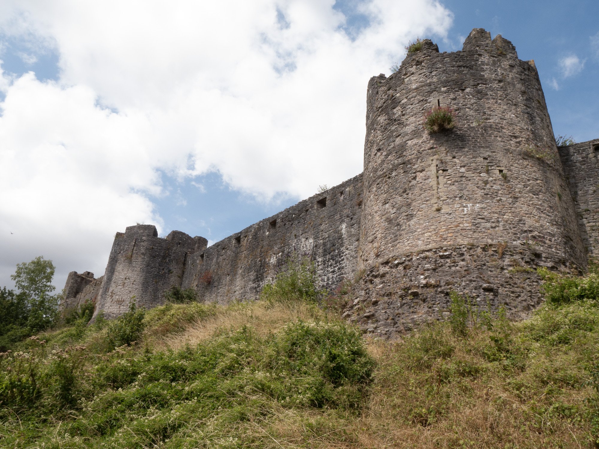 Ancient stone castle wall with a tall round tower, frescoed with greenery and plants, set against a partly cloudy sky.