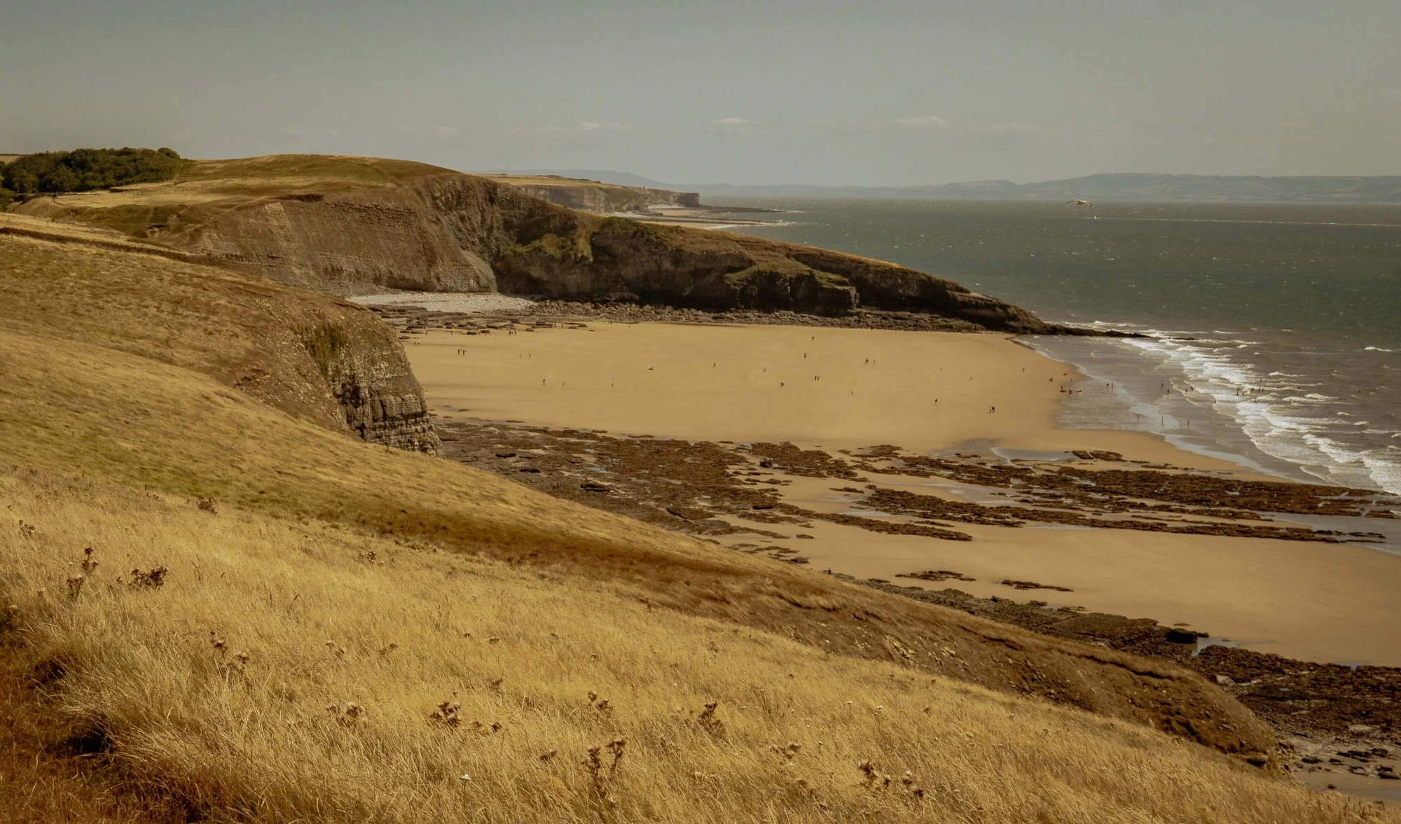 A scenic view of a coastal landscape with tall grassy hills in the foreground, a sandy beach, cliffs, and the ocean extending to the horizon under a partly cloudy sky.