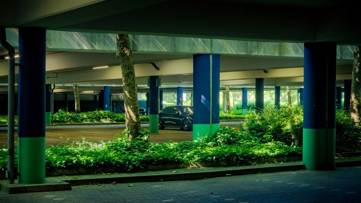 Underneath a parking structure with blue and green columns, there are trees, green shrubs, and parked cars visible in the background.