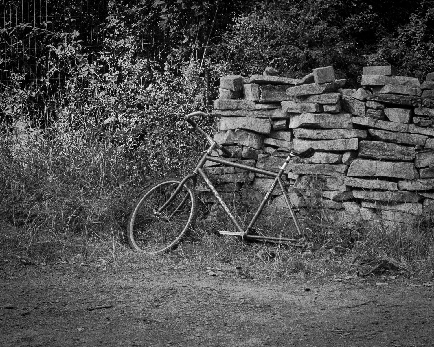 Black and white photo of a bicycle leaning against a stone wall, with overgrown grass and bushes behind it.