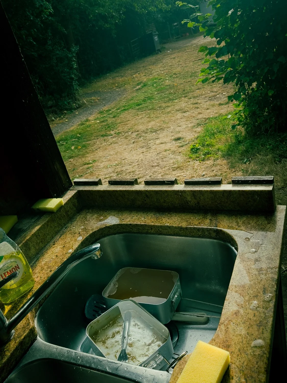 Kitchen sink with dirty dishes and a sponge, looking out onto a grassy backyard with bushes and trees.