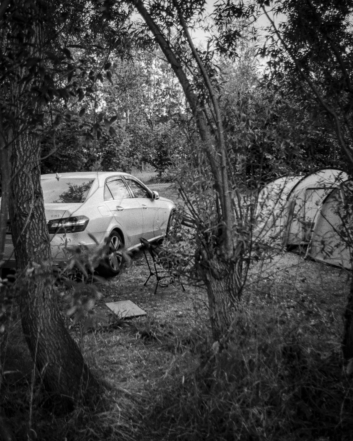 A black and white photo of a small parking area surrounded by trees and bushes. There is a car visible among the foliage and trees, with a tent or canopy partially hidden on the right side.