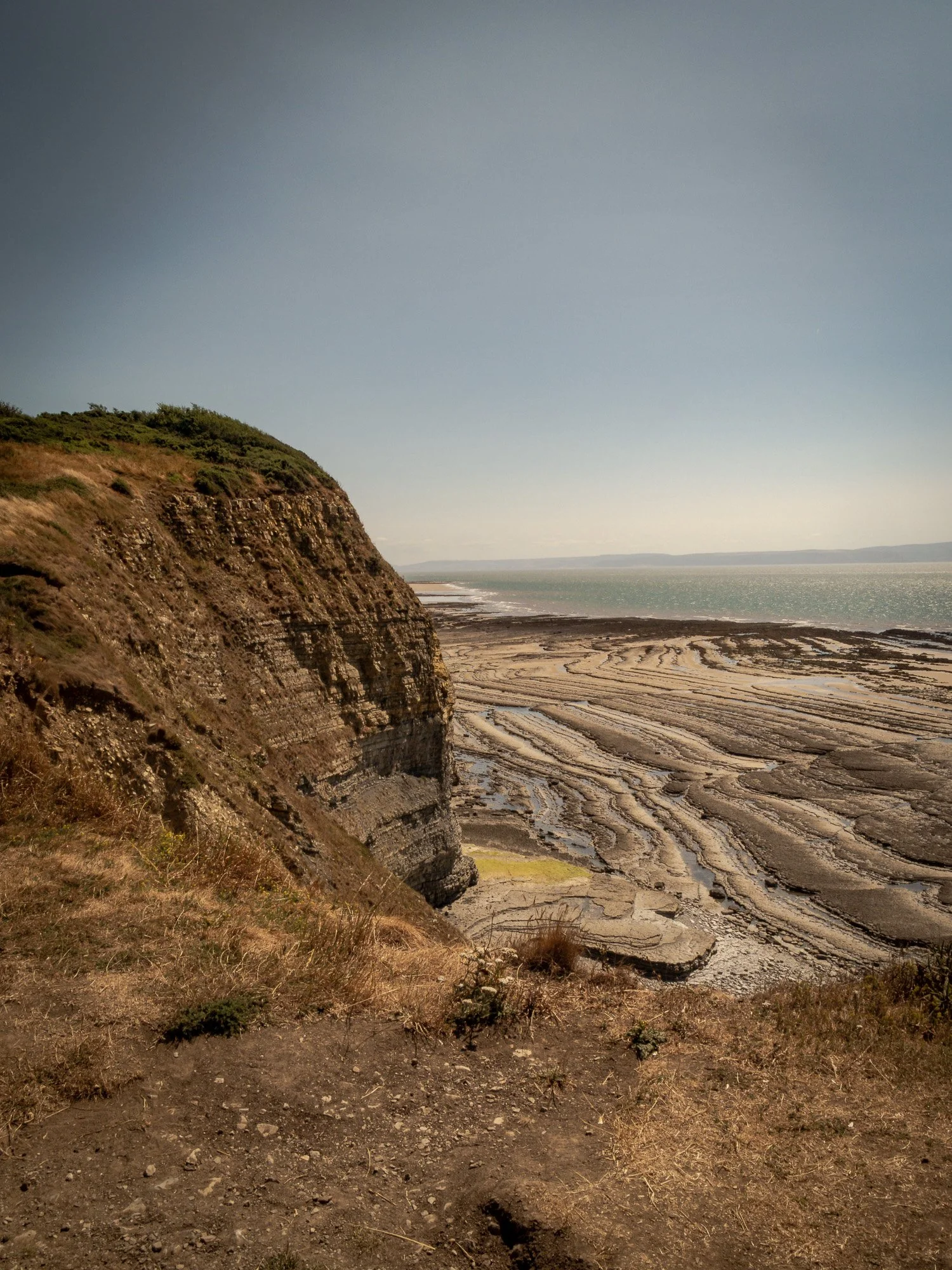 A coastal landscape featuring a steep, rocky cliff with green vegetation, a sandy shore with tidal pools and sediment patterns, and the ocean extending to the horizon under a clear sky.