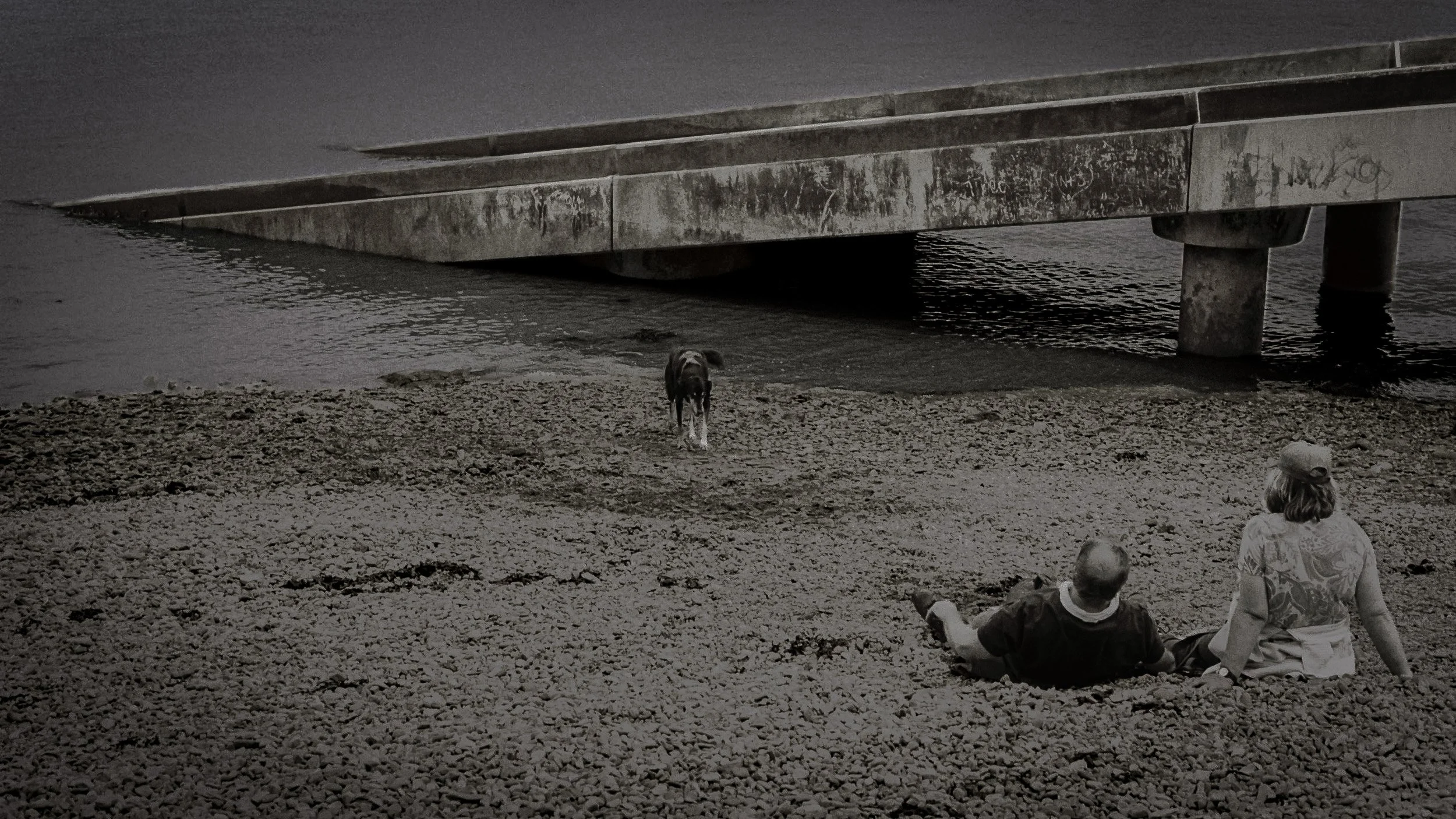 A bride and groom sitting on a rocky beach, watching a dog near a bridge over water, with children nearby on the beach.