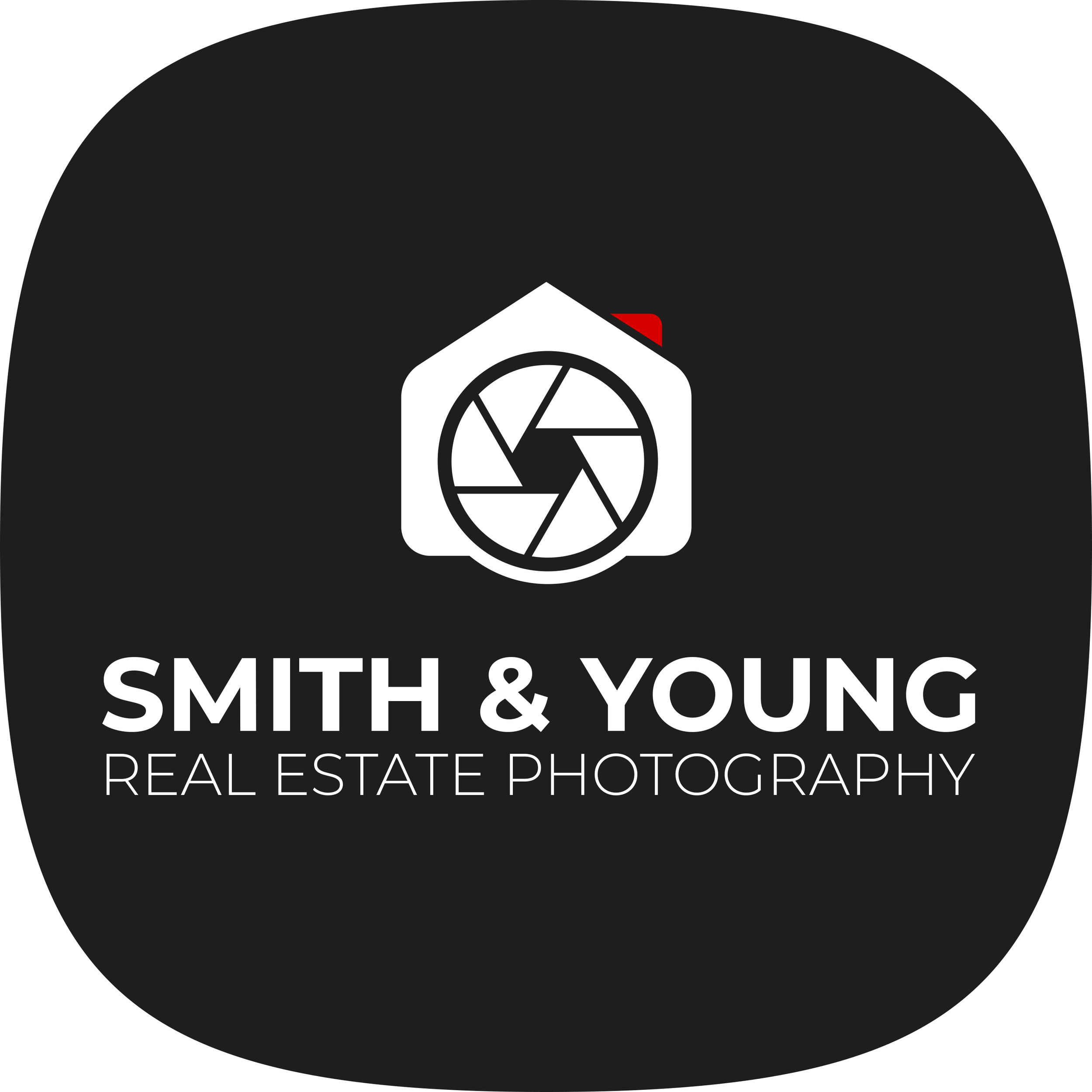 Smith & Young logo.png