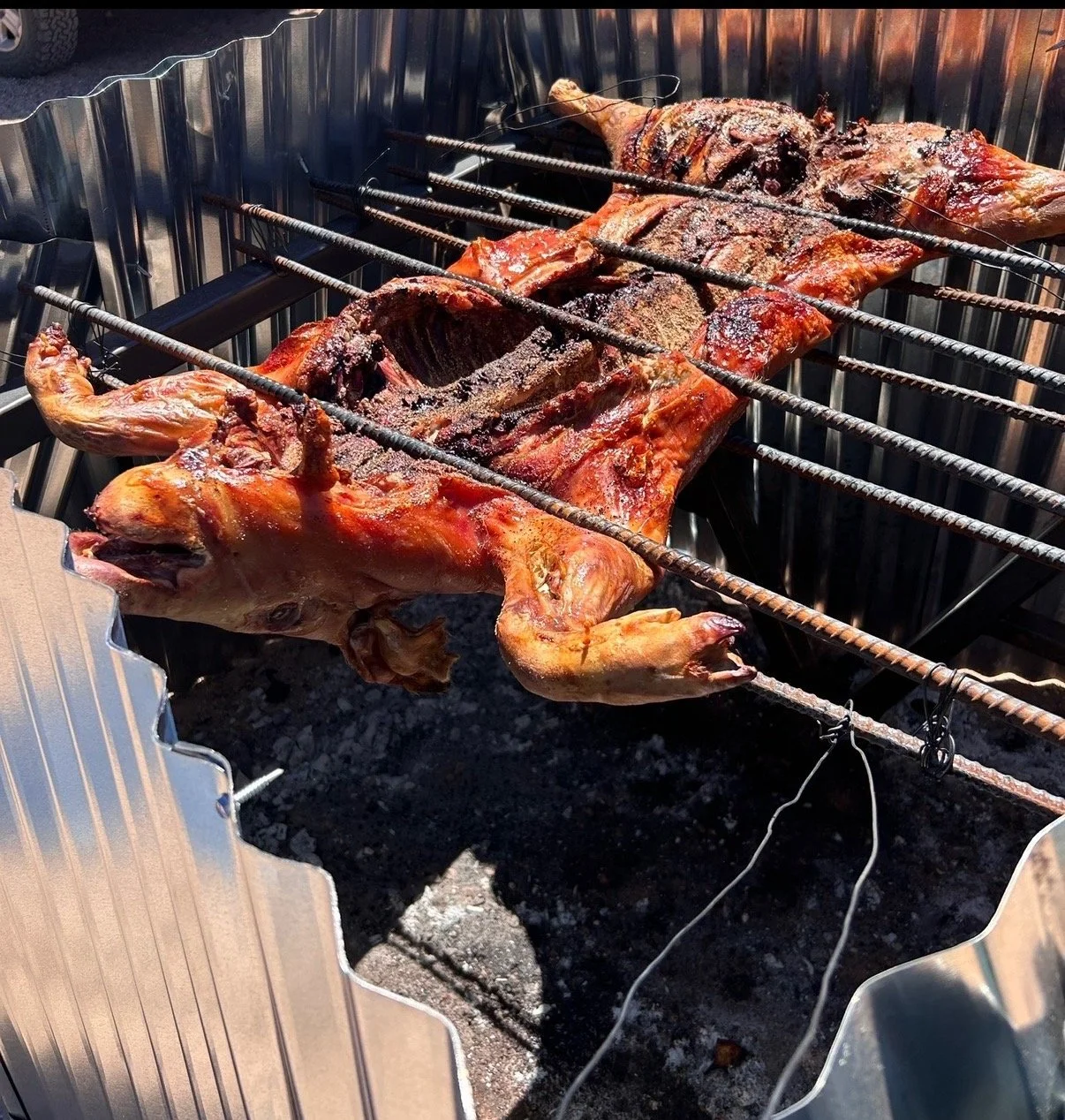 Whole roasted pig on a rotisserie spit inside a metal BBQ grill.