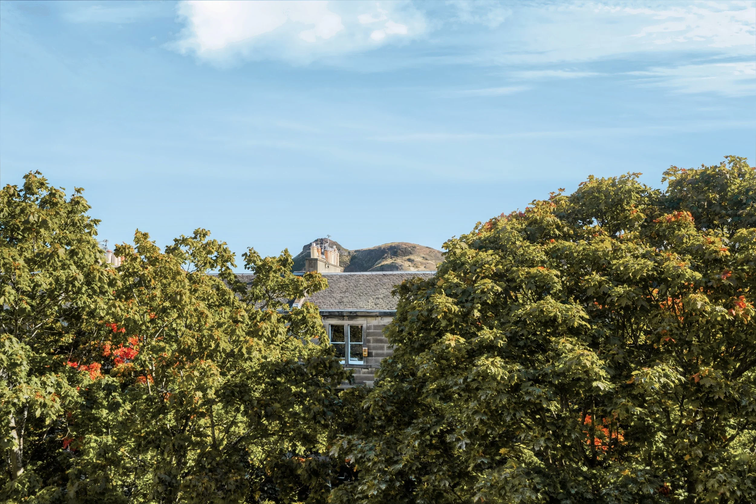 DSC03755-HDR.jpg