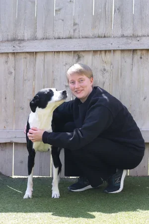 steen.webp