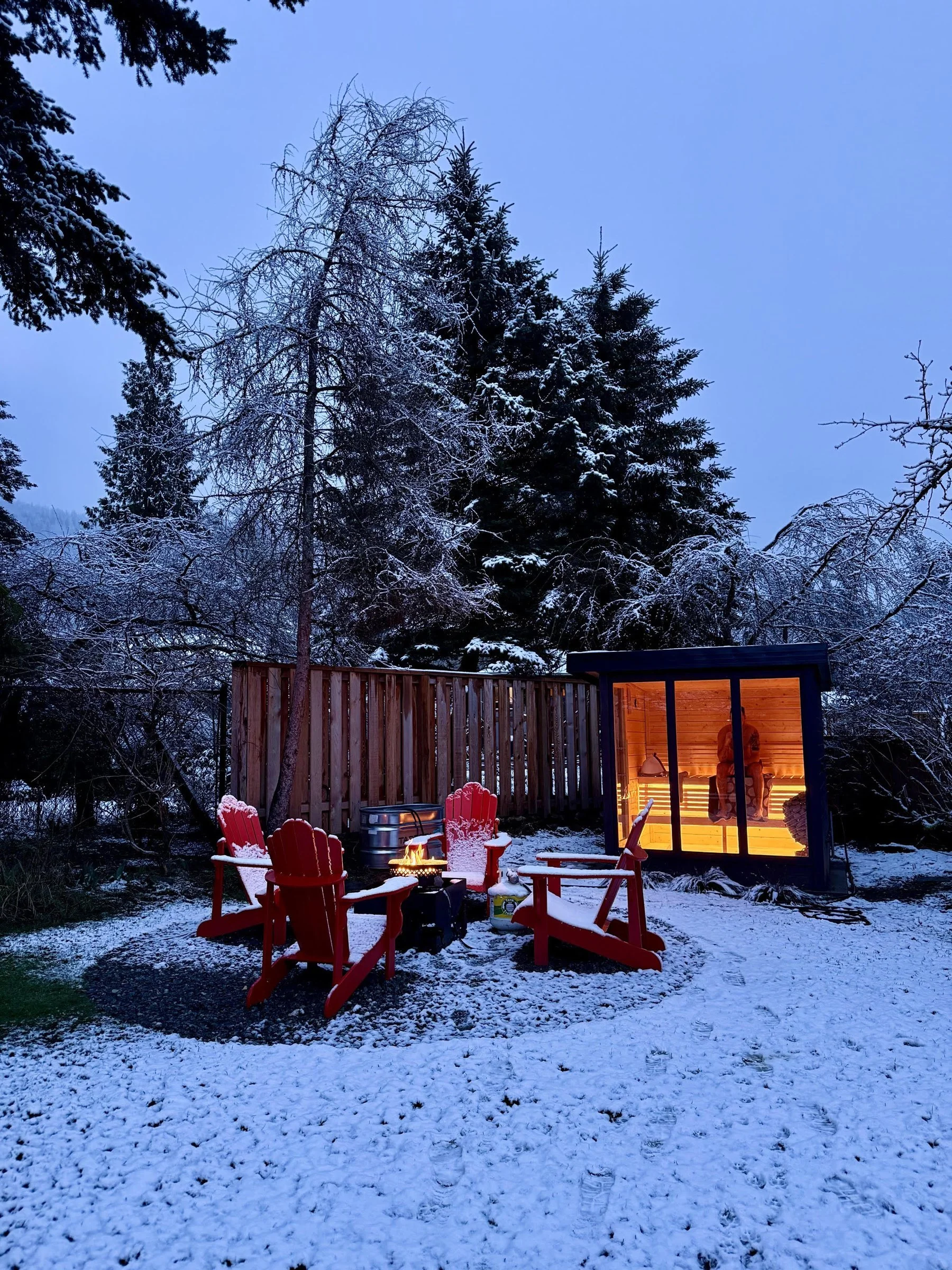 10-backyard-sauna-fire-pit-dusk.jpg